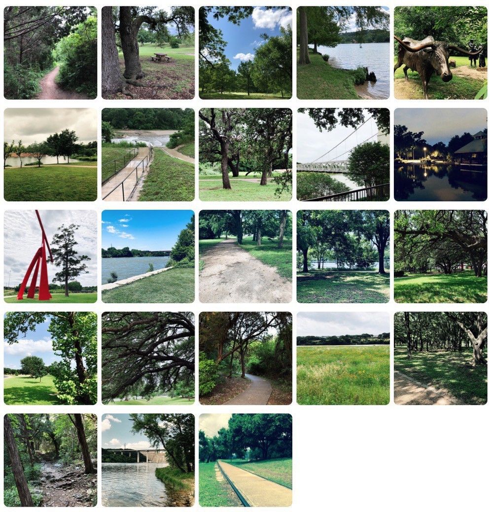 Parks grid