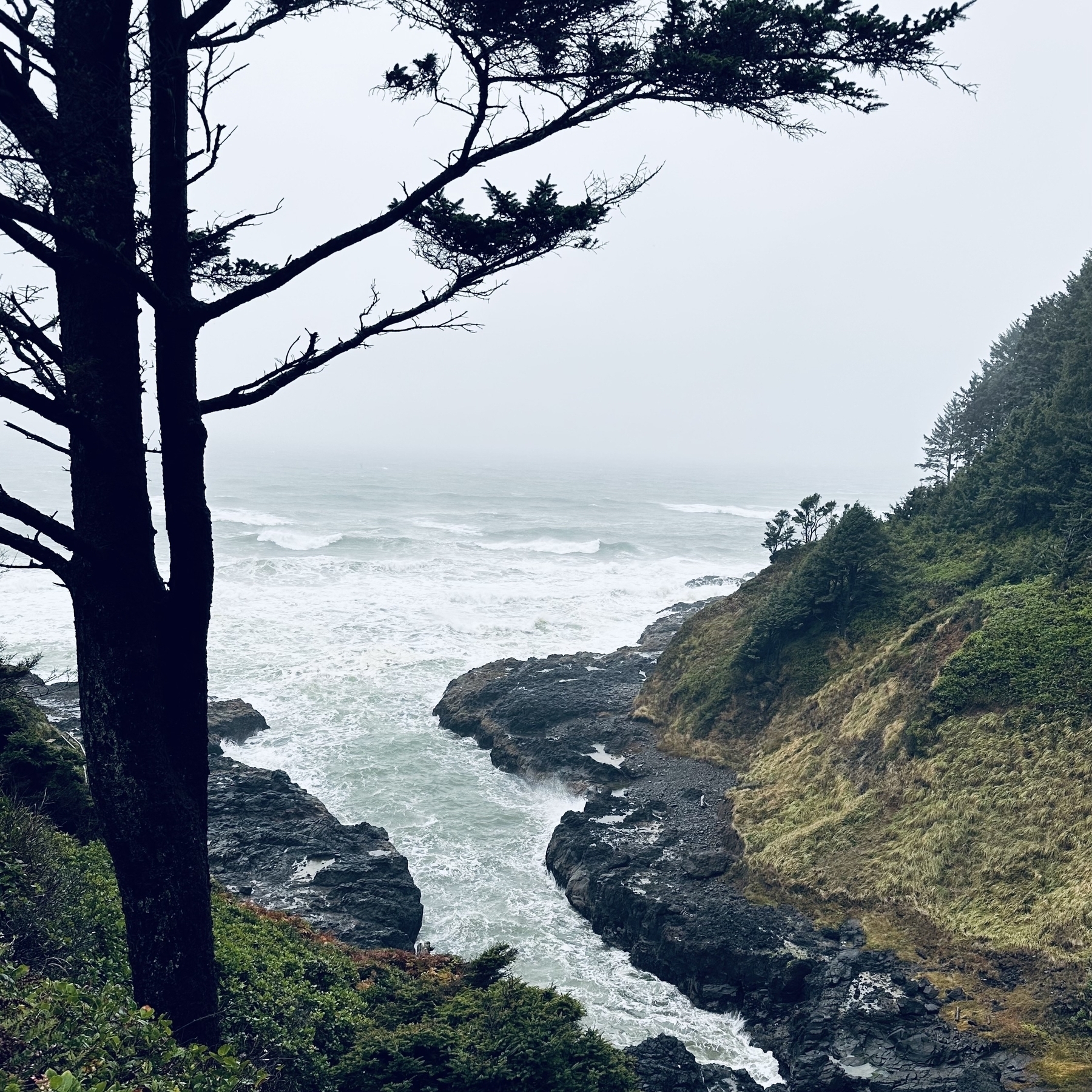 Oregon cliffs.