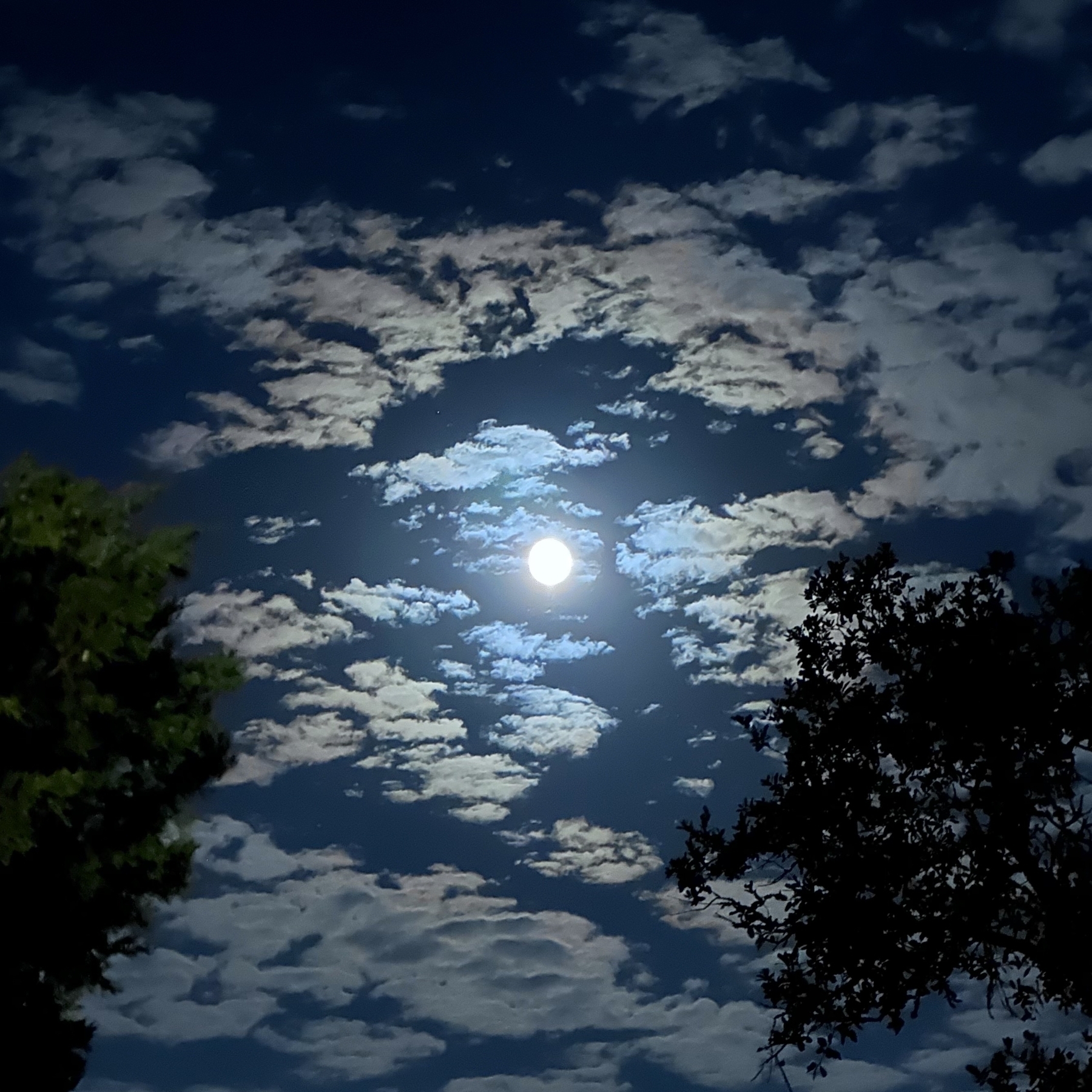Full moon and clouds.