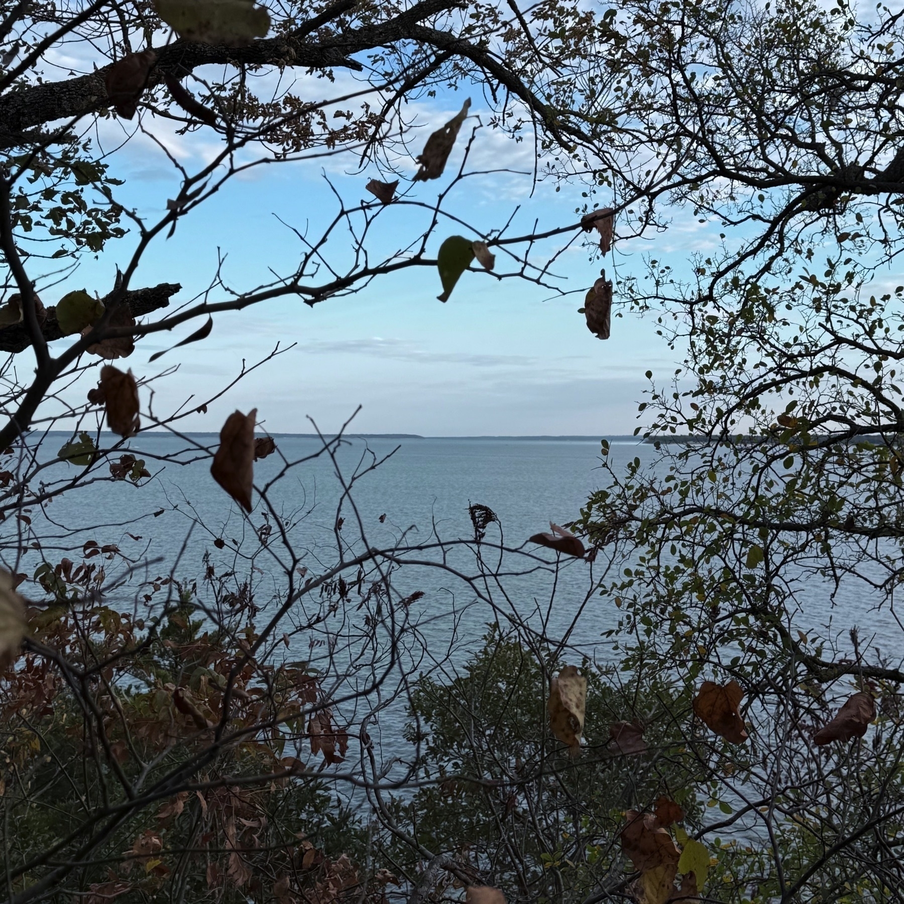 Tree branches with a few remaining leaves frame a view of a lake under a partly cloudy sky.