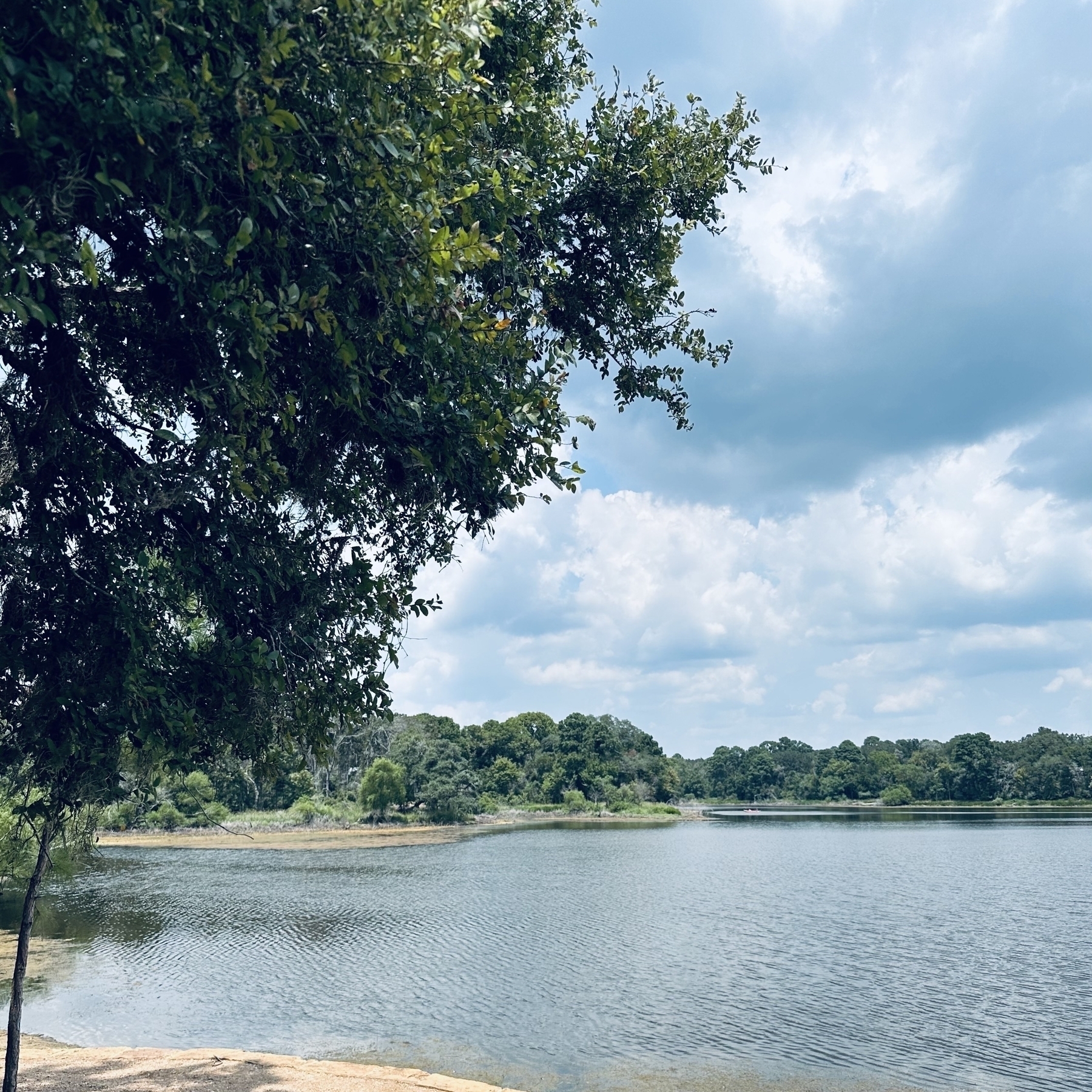 A lake is bordered by lush trees under a partly cloudy sky.