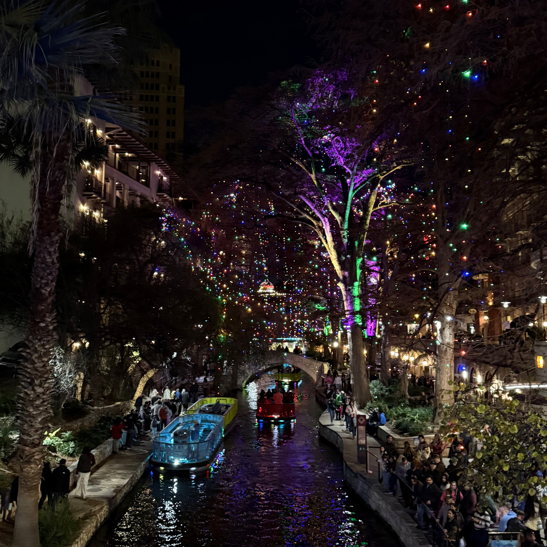 Photo of scene along a river features colorful lights illuminating trees, boats on the water, and crowds of people on the pathways.