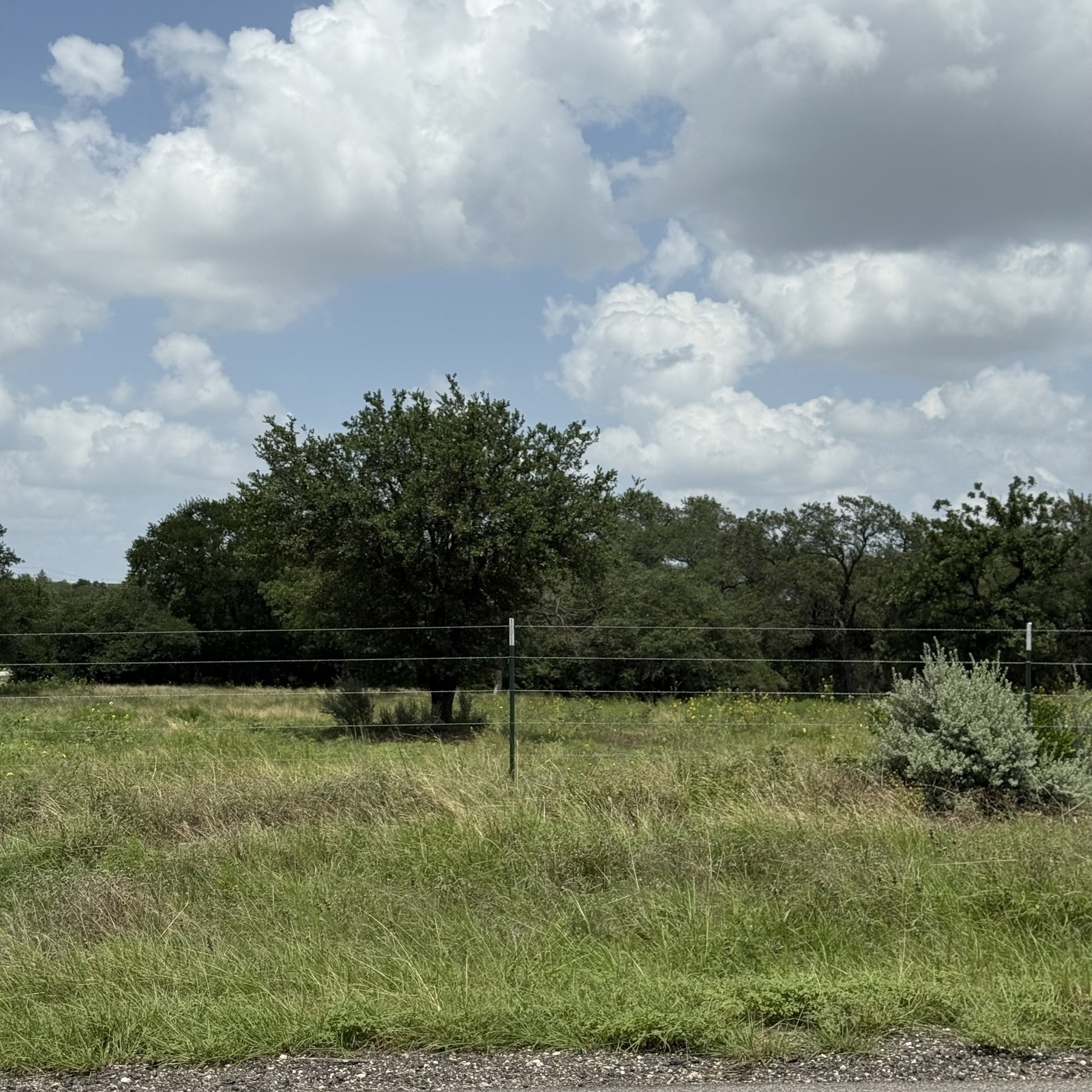 A grassy field is bordered by trees under a partly cloudy sky.