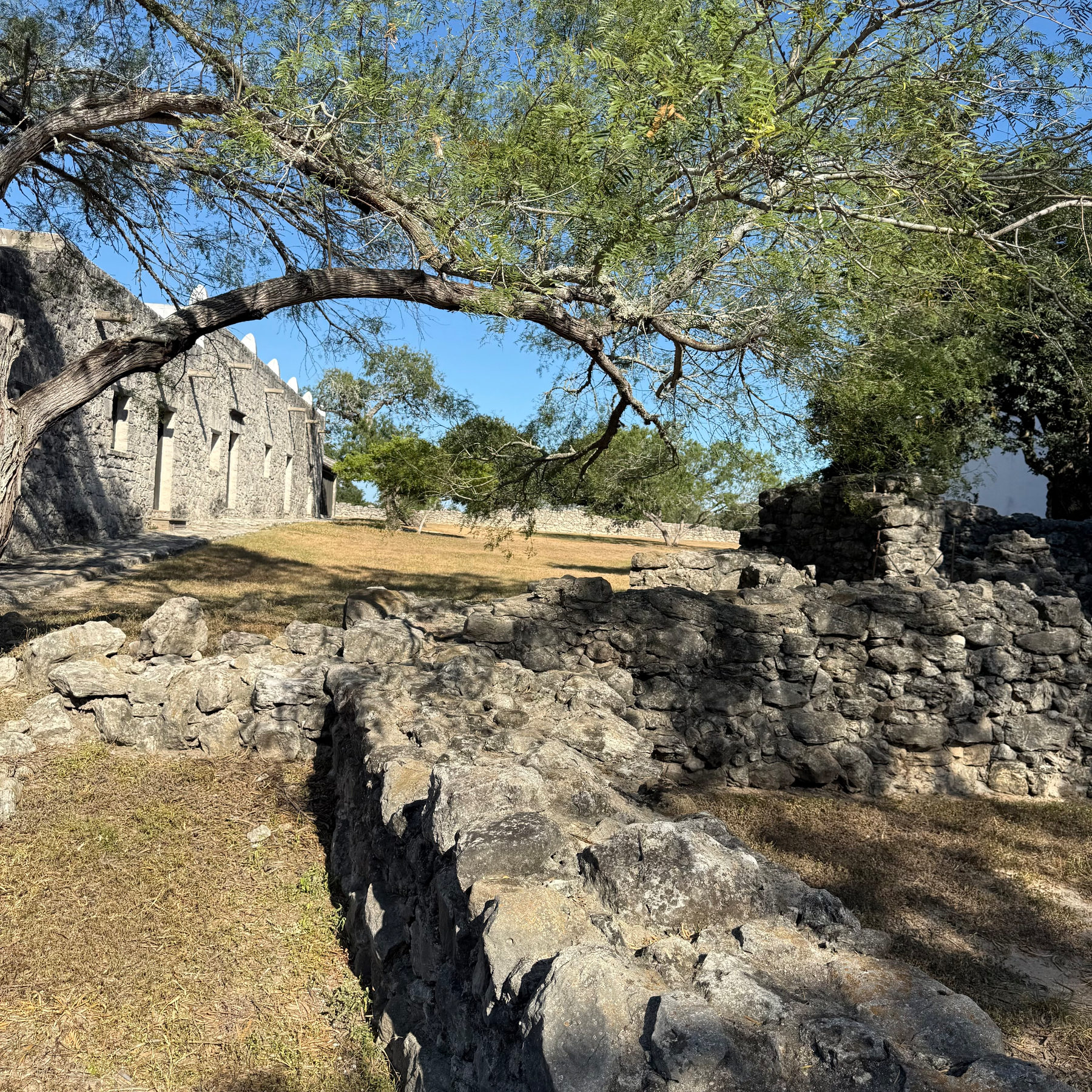 Auto-generated description: Ancient stone ruins surrounded by trees and grass are set under a clear blue sky.