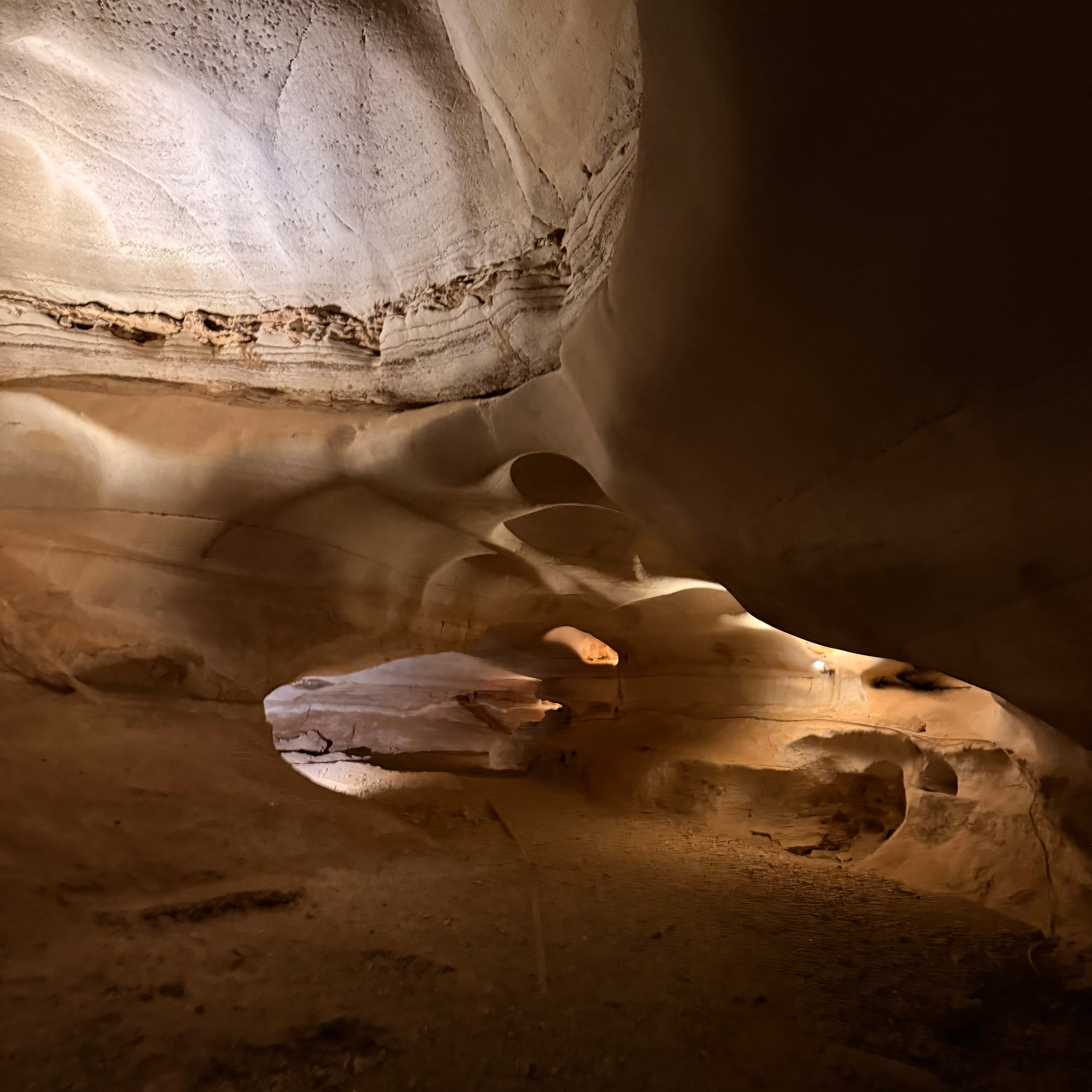 A naturally lit cave interior features smooth, sculpted stone walls and formations.