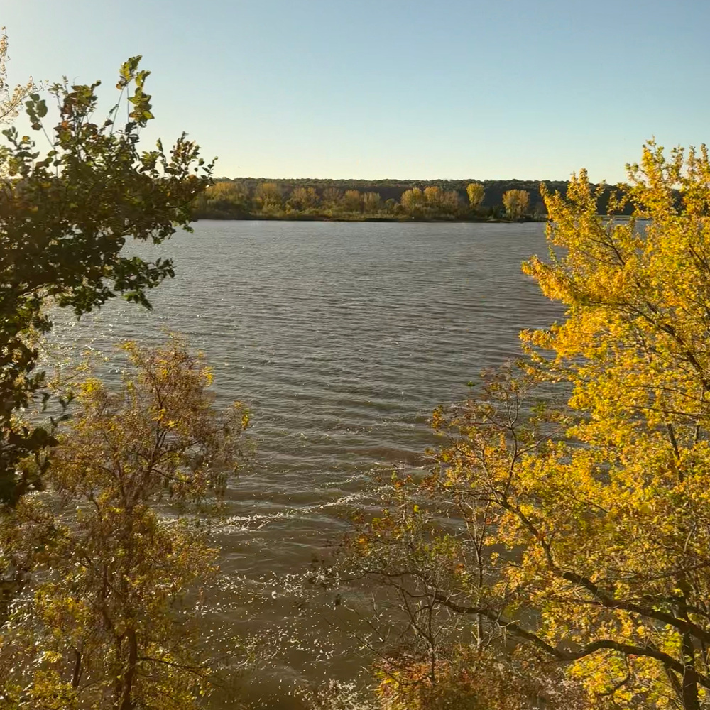A calm river is surrounded by trees with green and yellow autumn foliage under a clear blue sky.