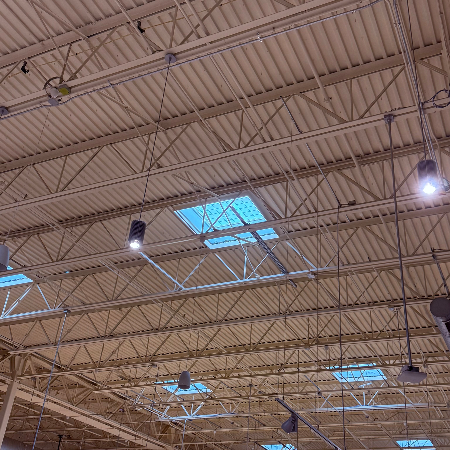 Ceiling of a large industrial building with exposed metal beams, skylights, and hanging lights. At Whole Foods.