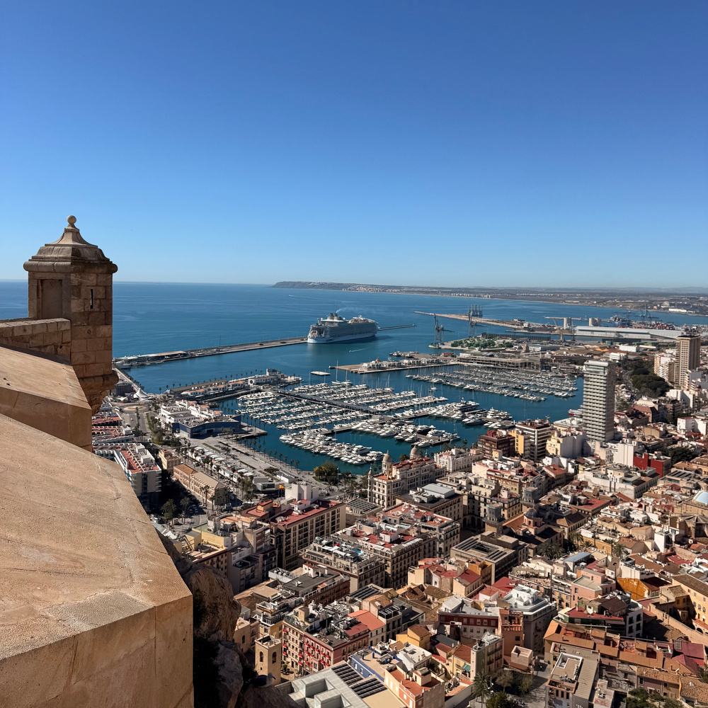 A scenic view shows a coastal city with a bustling marina, numerous boats, and a large cruise ship in the distance under a clear blue sky.