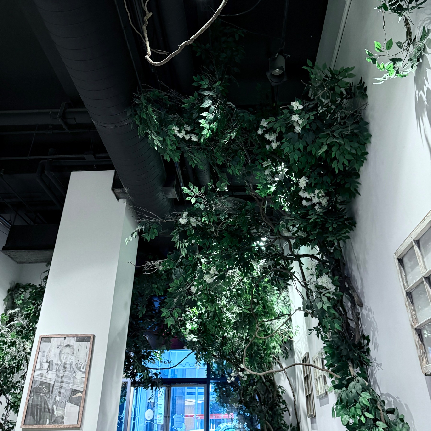 Fake green vines climb the walls and ceiling of an urban interior space with artwork and a window view.