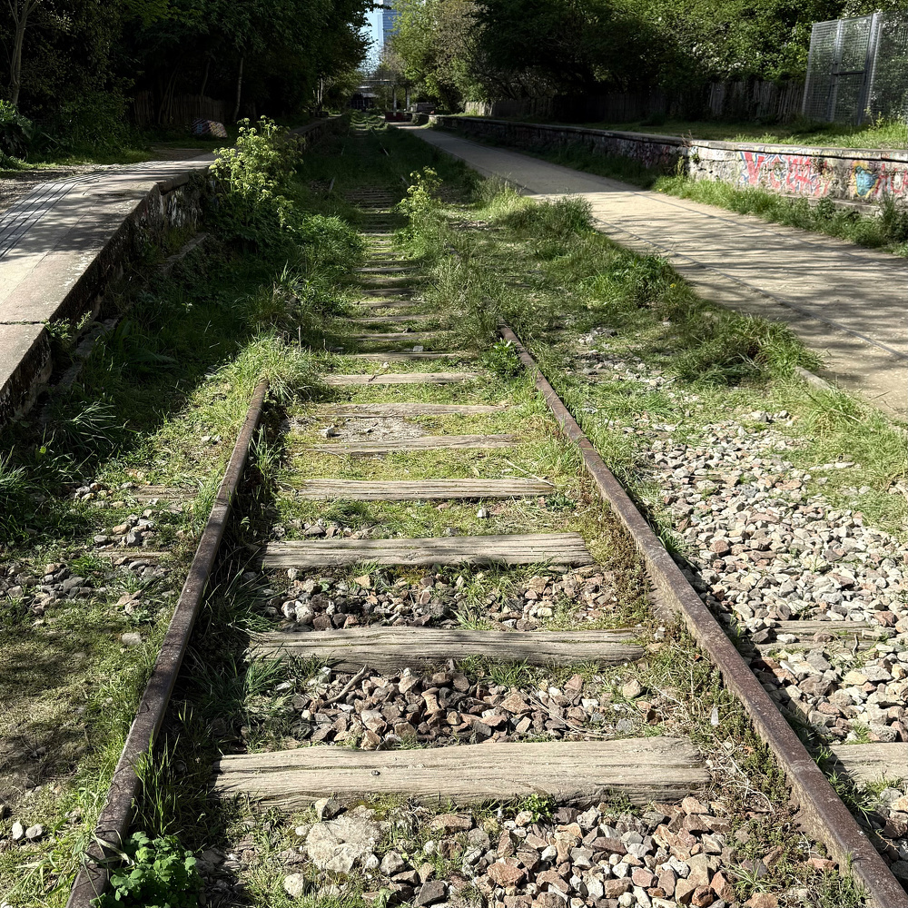 Old railway tracks overgrown with grass and surrounded by trees and a path.