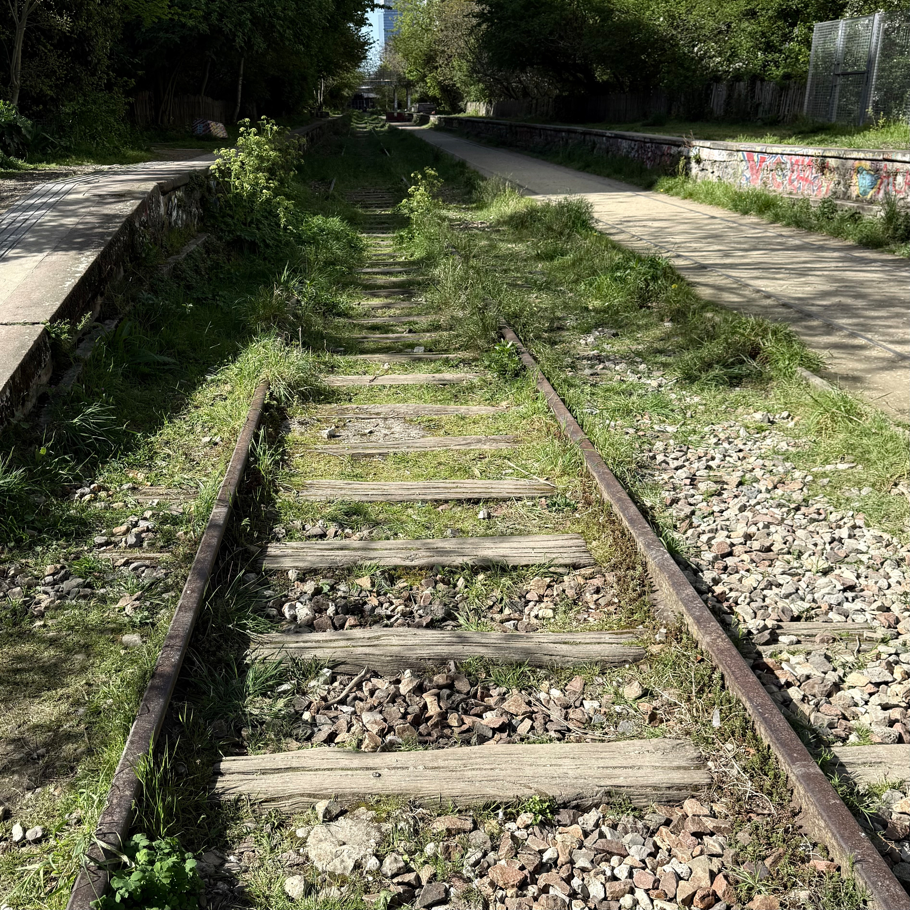 Old railway tracks overgrown with grass and surrounded by trees and a path.