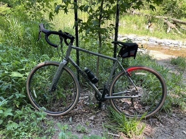 Jamis Renegade S3 gravel bike resting against a tree.