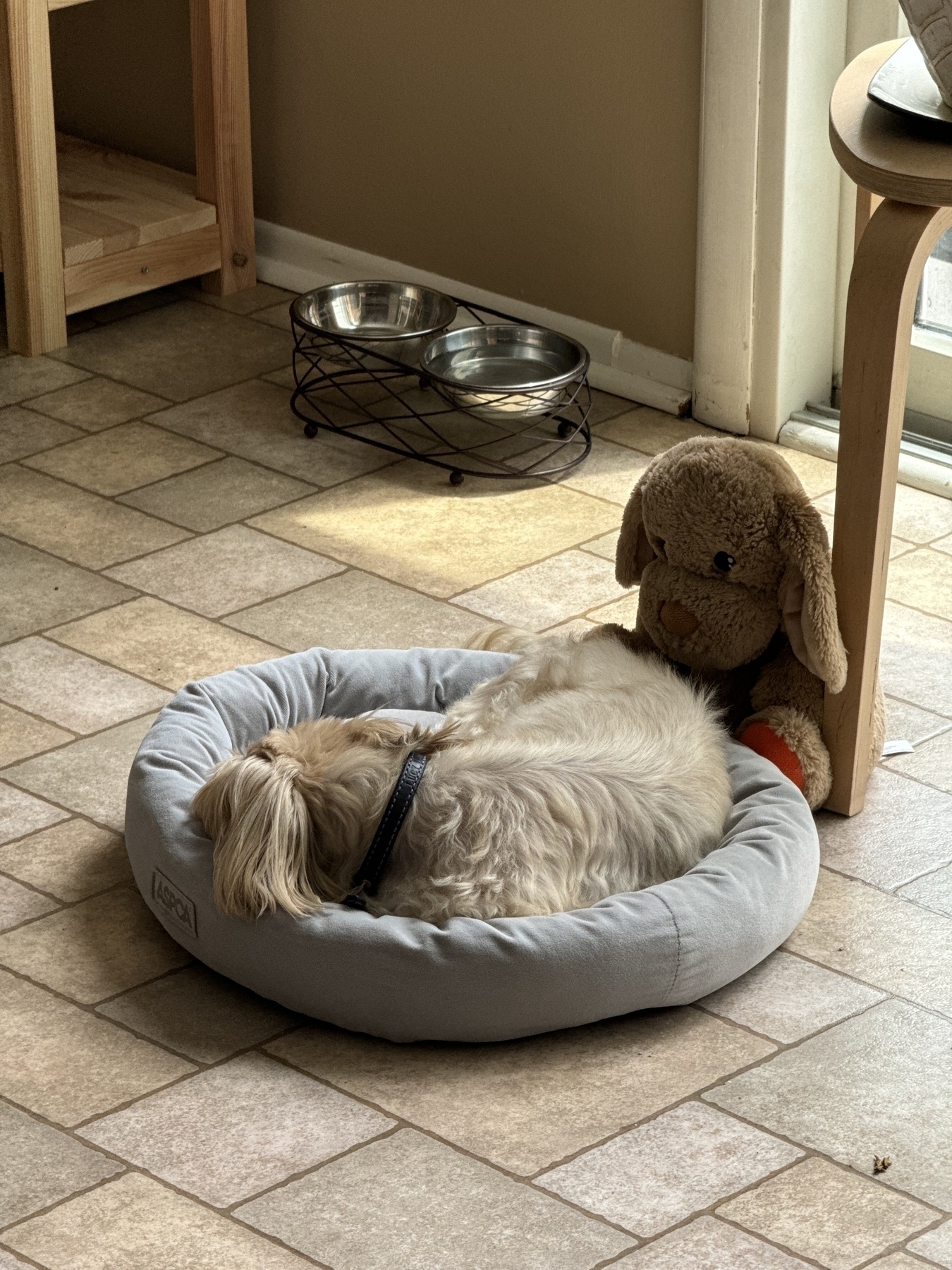 A small dog is curled up sleeping in a round pet bed next to a stuffed animal.