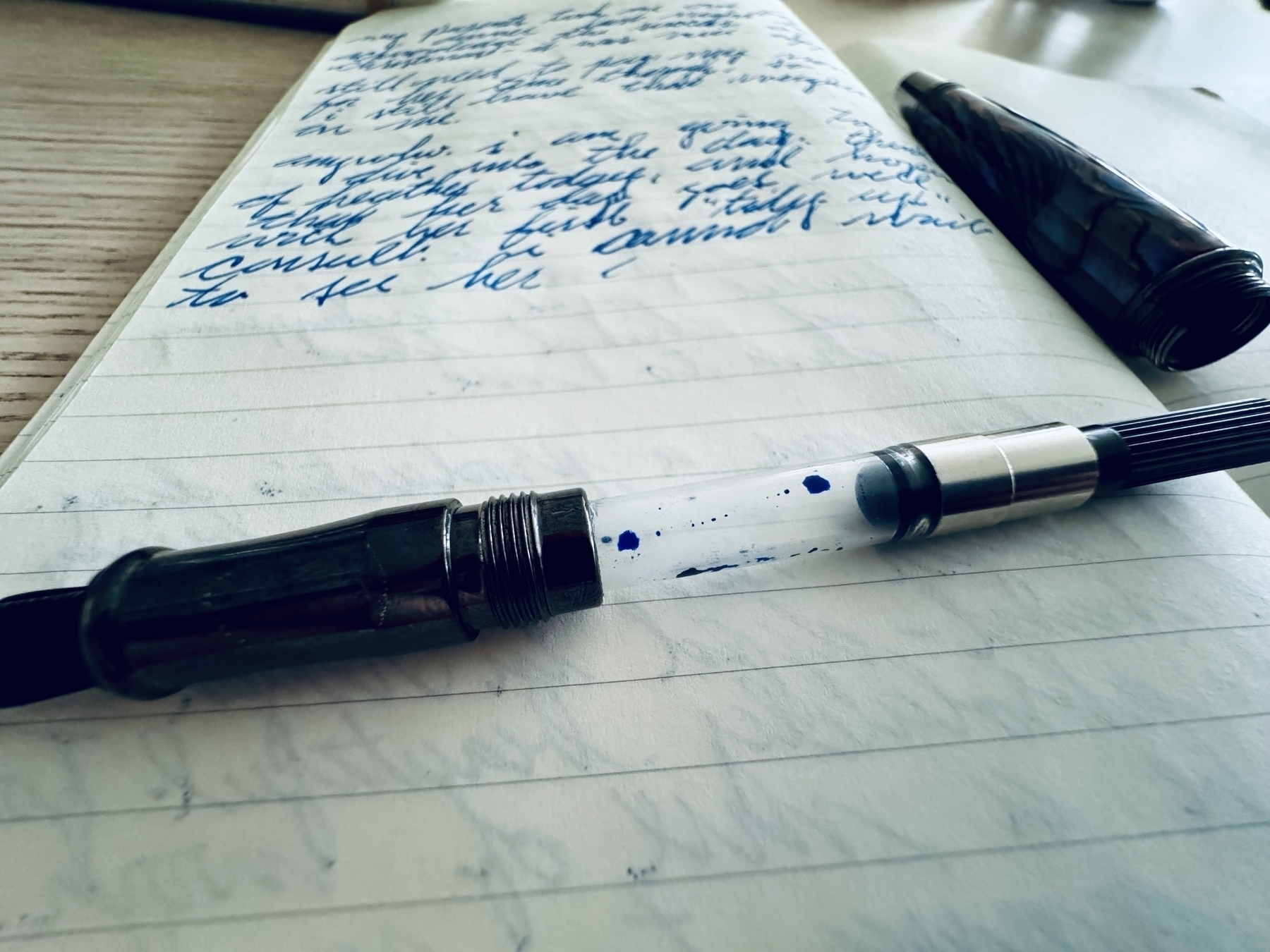 Empty fountain pen. 