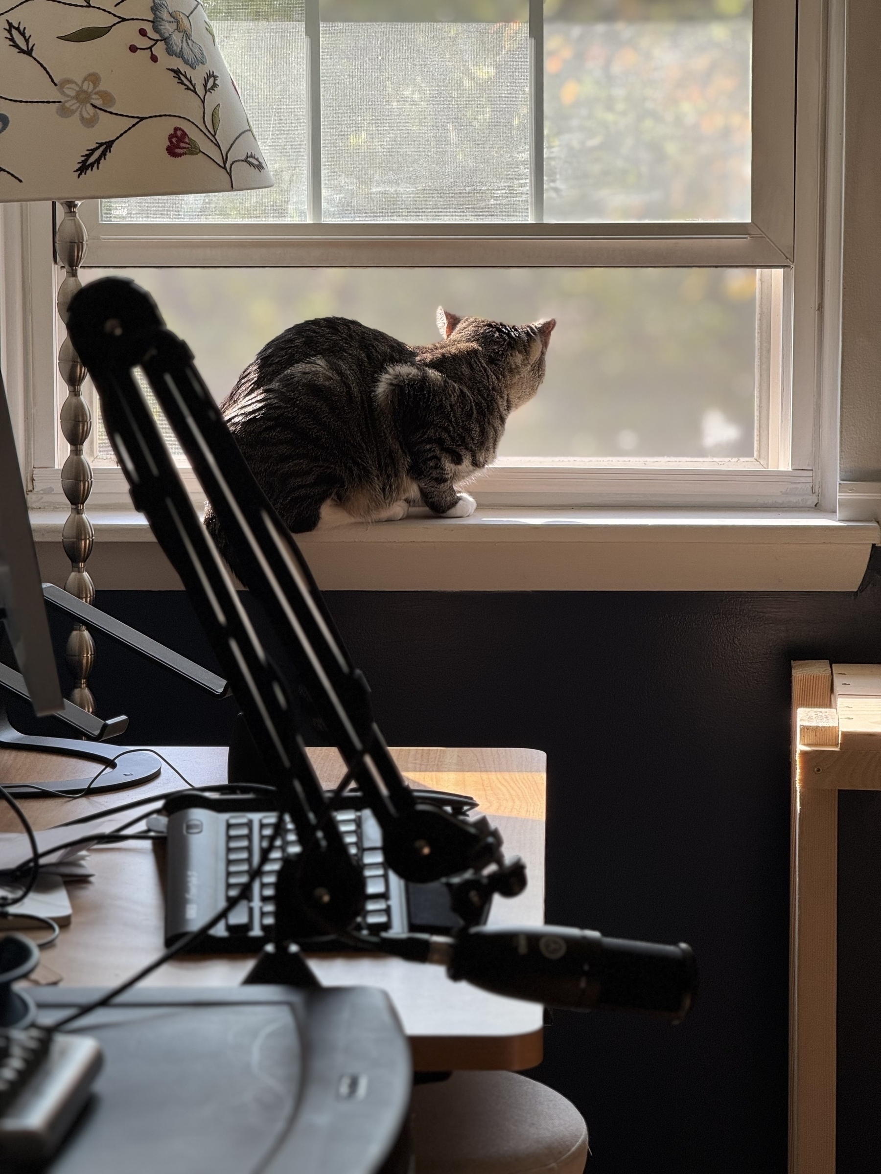 A cat is sitting on a windowsill, looking outside, next to a desk with a microphone and keyboard.