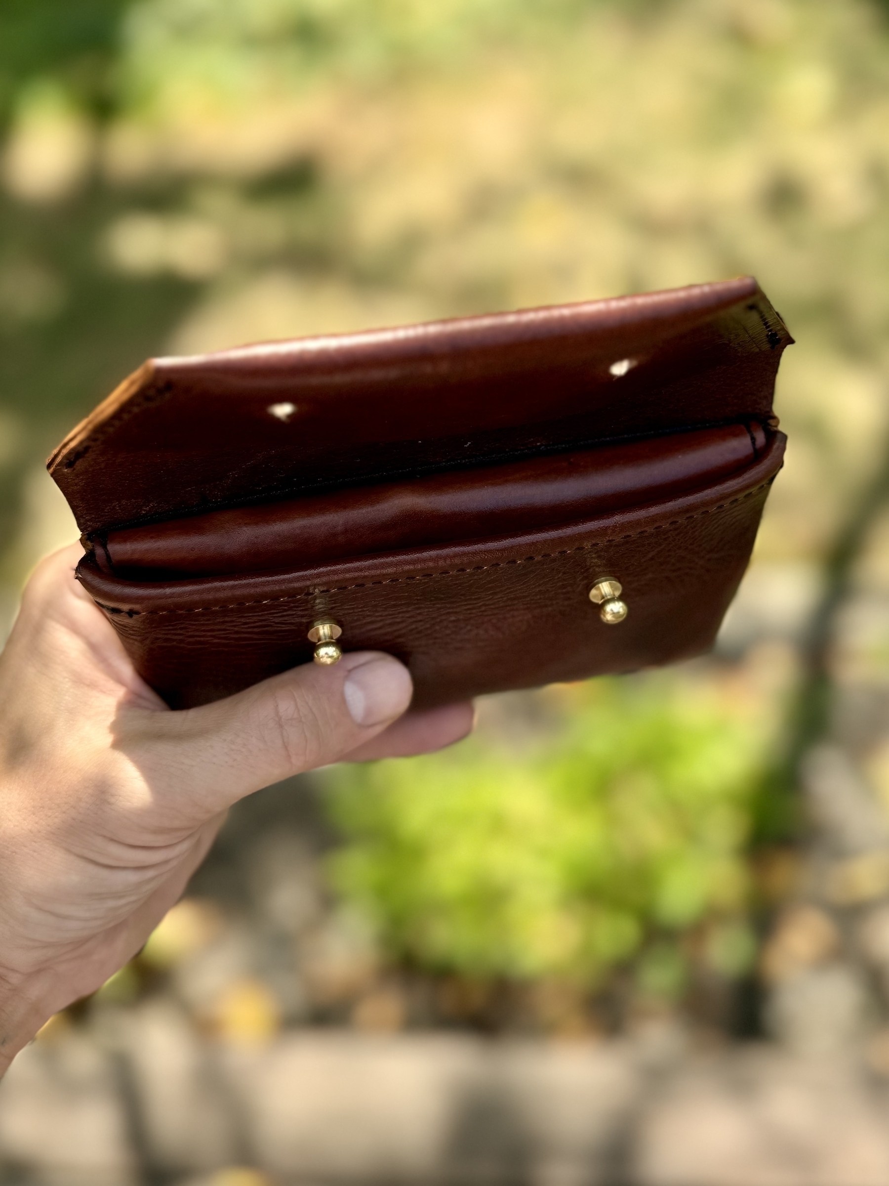 A person is holding an open brown leather wallet with a blurred natural background.