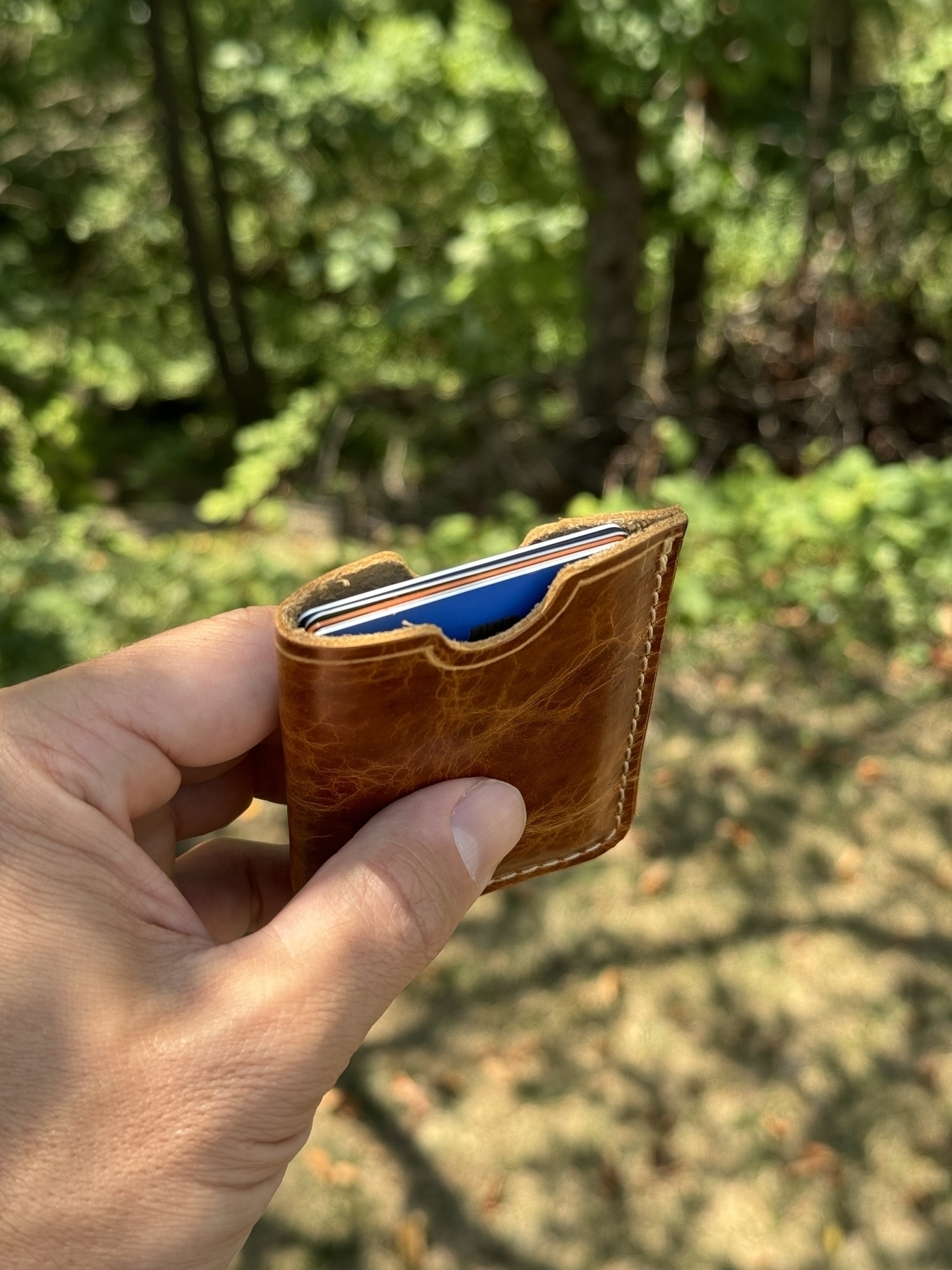 A hand is holding a brown leather wallet with a blue card peeking out, against a backdrop of trees and greenery.