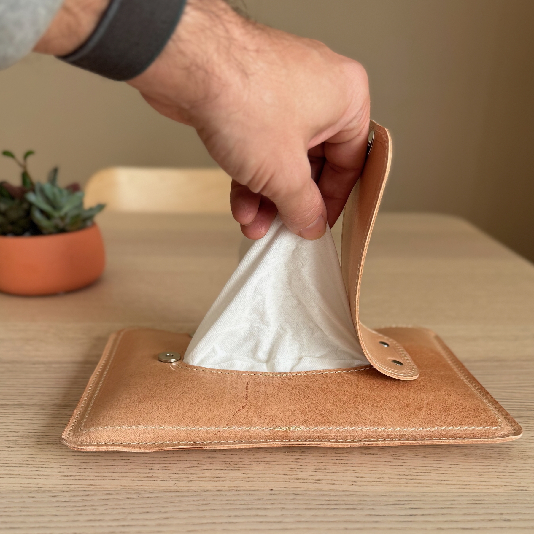 A hand is pulling a tissue from a leather holder on a table with a potted plant in the background.