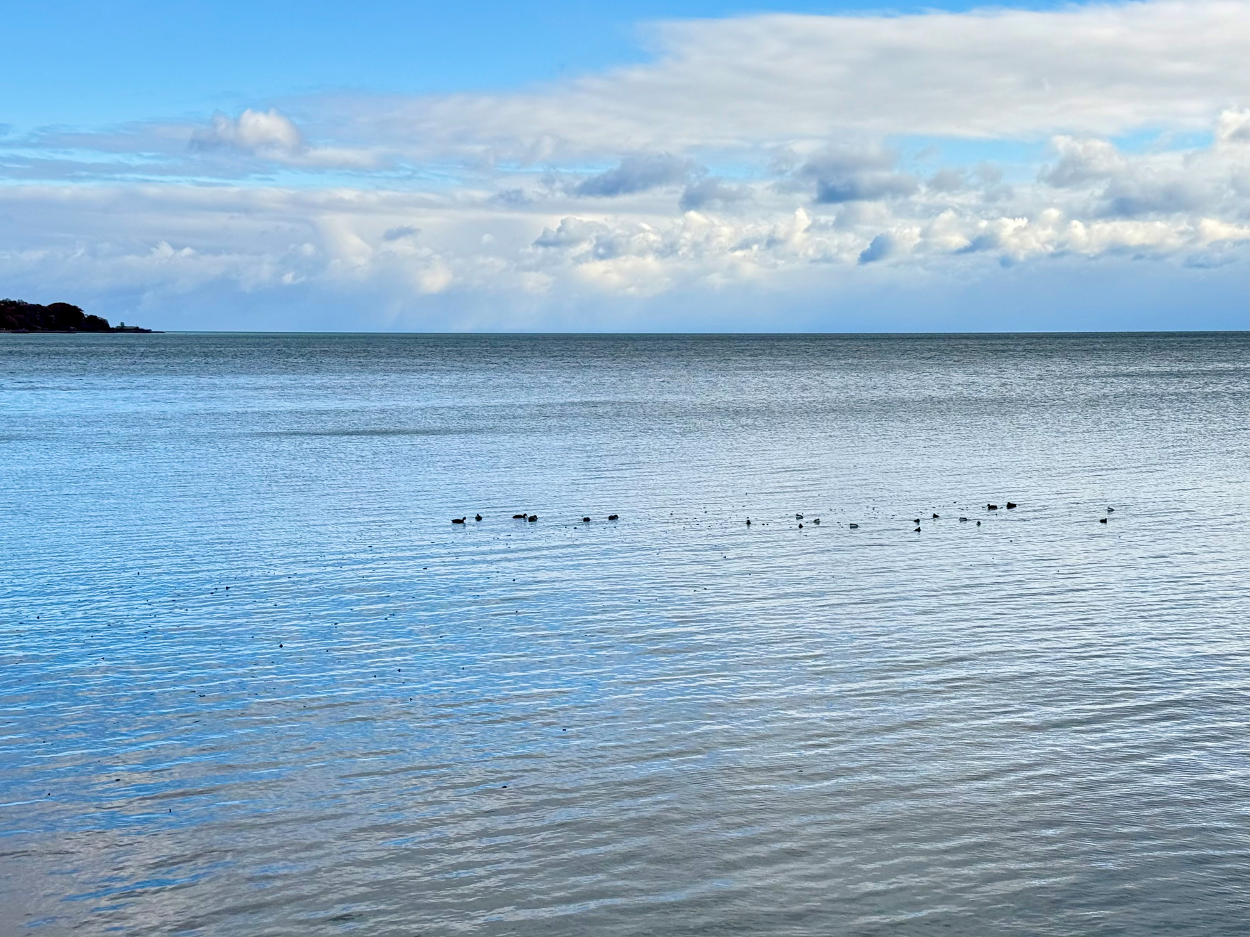 A serene view of a calm ocean with a clear blue sky partly covered by clouds. A group of ducks is visible floating gently on the water near the center of the image, and a distant landmass is seen on the left horizon. The water reflects the sky's blue and cloudy hues.