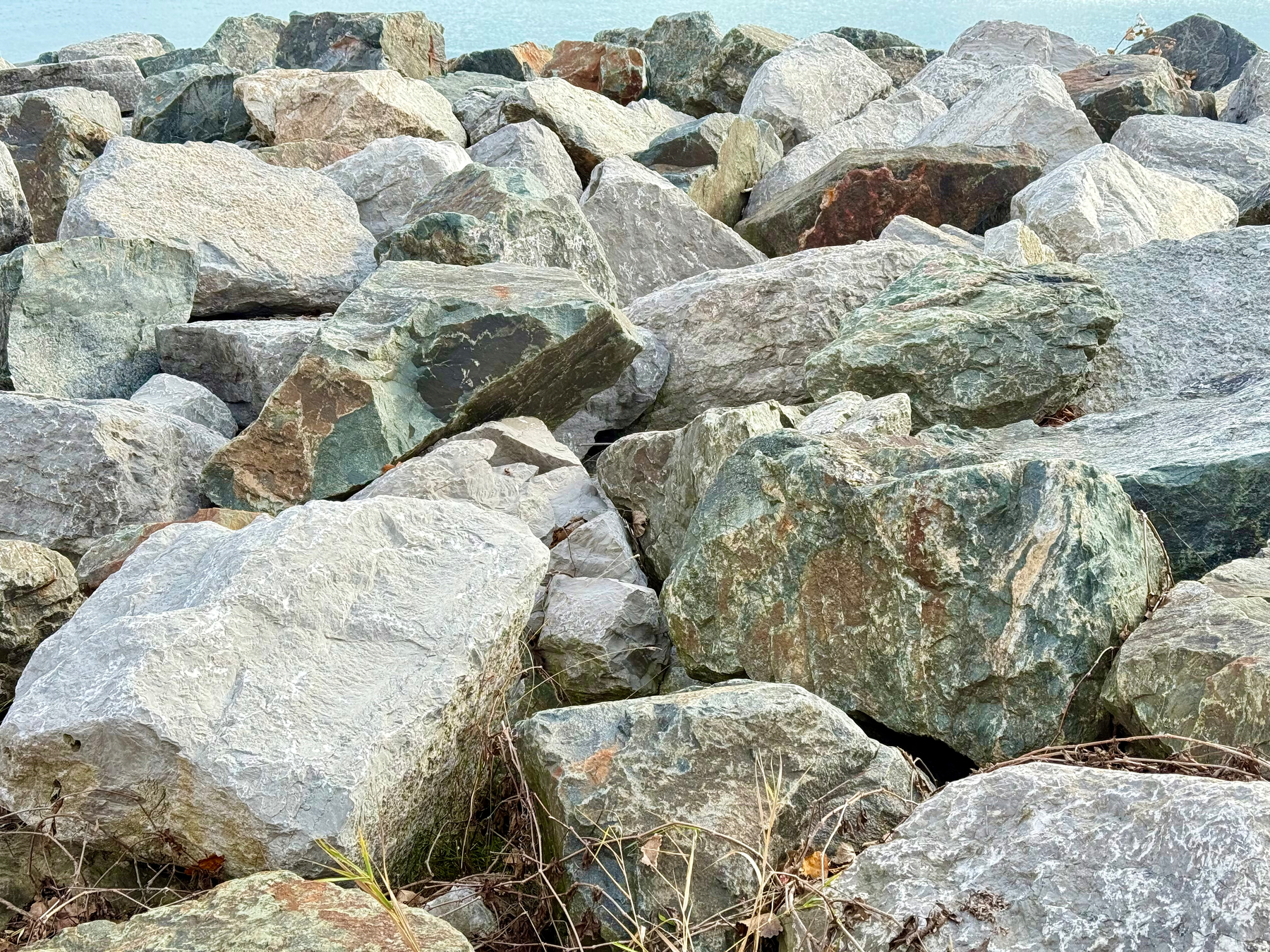 A pile of large, jagged rocks in various shades of gray and green. Some rocks have patches of rust-colored discoloration. Sparse vegetation, including small plants and grasses, is visible between the rocks. The blurred background suggests a waterbody beyond the rocks.