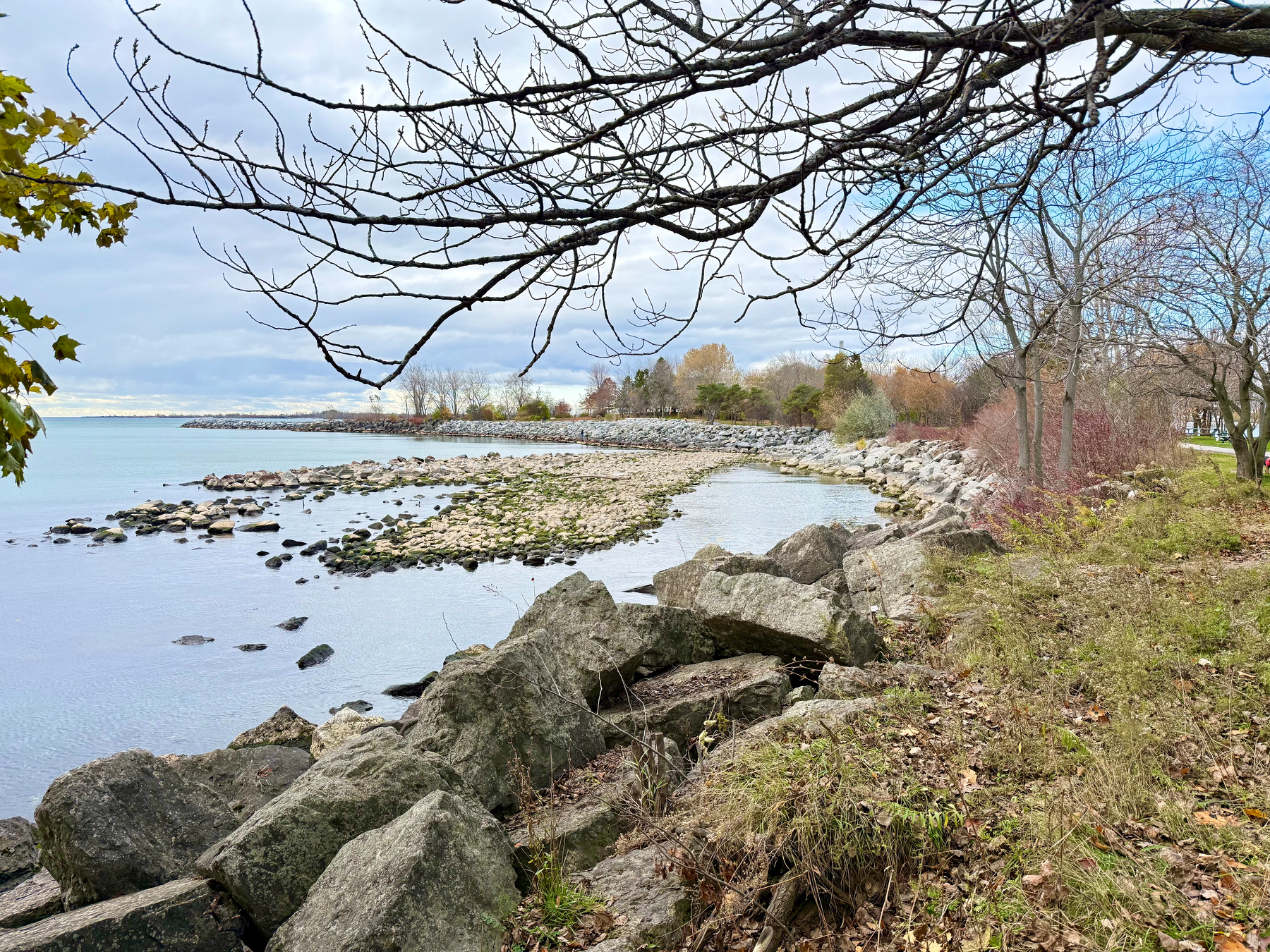 A rocky shoreline alongside a calm body of water, with rocks and pebbles extending into the water. Sparse trees with bare branches and a few green leaves line the shoreline, with a grassy area in the foreground. The sky is overcast with clouds, suggesting a cool, quiet day by the water.