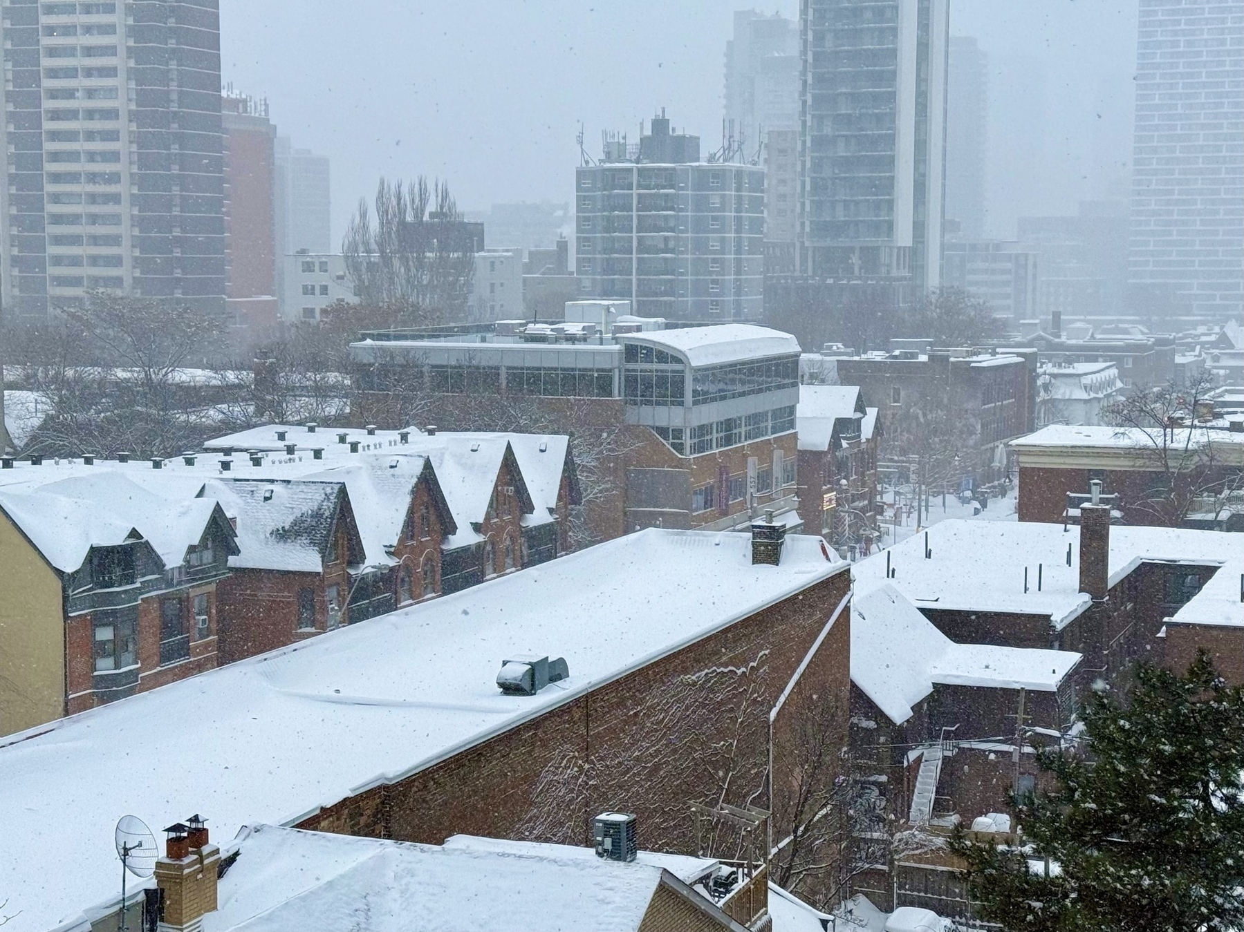 A cityscape covered in freshly fallen snow during daytime, with snowflakes visibly falling. The foreground features rooftops of red-brick townhouses and buildings, all blanketed in white. In the middle ground, there are mid-rise and modern glass buildings, while the background consists of high-rise apartment and office buildings, partially obscured by the snowy haze.