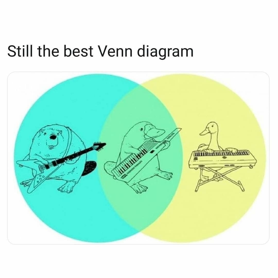 A humorous Venn diagram with two overlapping circles. The left blue circle shows a beaver playing an electric guitar. The right yellow circle features a duck playing a keyboard. In the overlapping green section, a platypus is playing a keytar. The text above the diagram reads "Still the best Venn diagram."