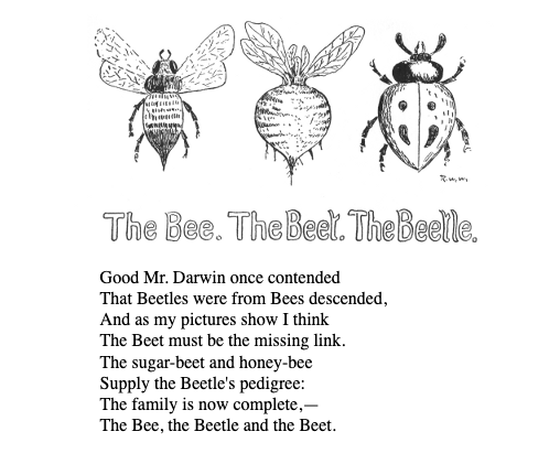 A black-and-white illustration features three detailed drawings: a bee on the left, a beet in the center, and a beetle on the right. Below the drawings, the title "The Bee. The Beet. The Beetle." is written in a decorative, playful font. Beneath the title, a short poem.