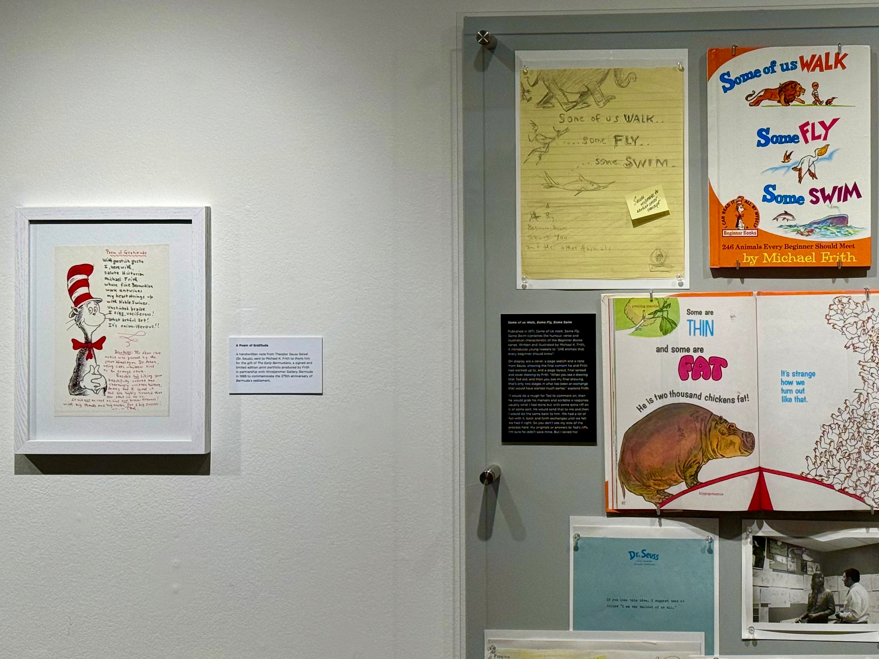 A museum display featuring a framed Dr. Seuss illustration and several sketches and book pages. On the left, a white-framed drawing depicts the Cat in the Hat with a tall red and white striped hat and a red bow tie, accompanied by handwritten rhyming text. Below the drawing is a small white placard with printed information. On the right, a glass case contains multiple items: at the top, a yellow lined paper with pencil sketches of animals, including a lion, fish, and bird, with the text "Some of us WALK ... some FLY ... some SWIM." Next to it is a colourful book cover reading “Some of us WALK Some FLY Some SWIM” with illustrations of animals moving in different ways. Below, an open book shows a page with a large illustrated hippopotamus and the words “Some are THIN and some are FAT. He is two thousand chickens fat!” along with abstract red and white line art on the facing page. Beneath the book are a blue paper labeled “Dr. Seuss” and a black and white photograph showing two people talking in an office or studio setting. A small black descriptive placard is mounted inside the case. The display is well-lit against a plain grey wall.