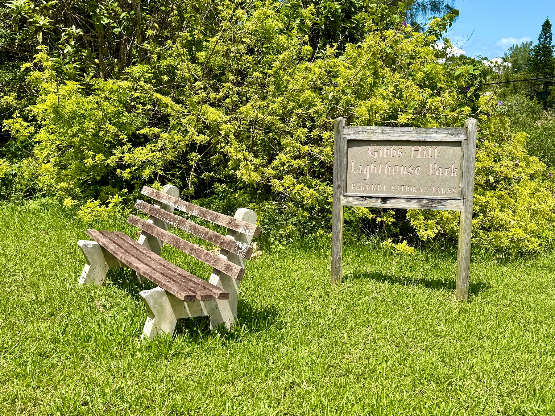 A wooden bench sits on bright green grass in front of a dense background of leafy green bushes and trees under a clear blue sky. Next to the bench is a weathered wooden sign with the text “Gibbs Hill Lighthouse Park” and “Bermuda National Parks” engraved on it. The scene is sunlit, creating a vibrant and peaceful park setting.
