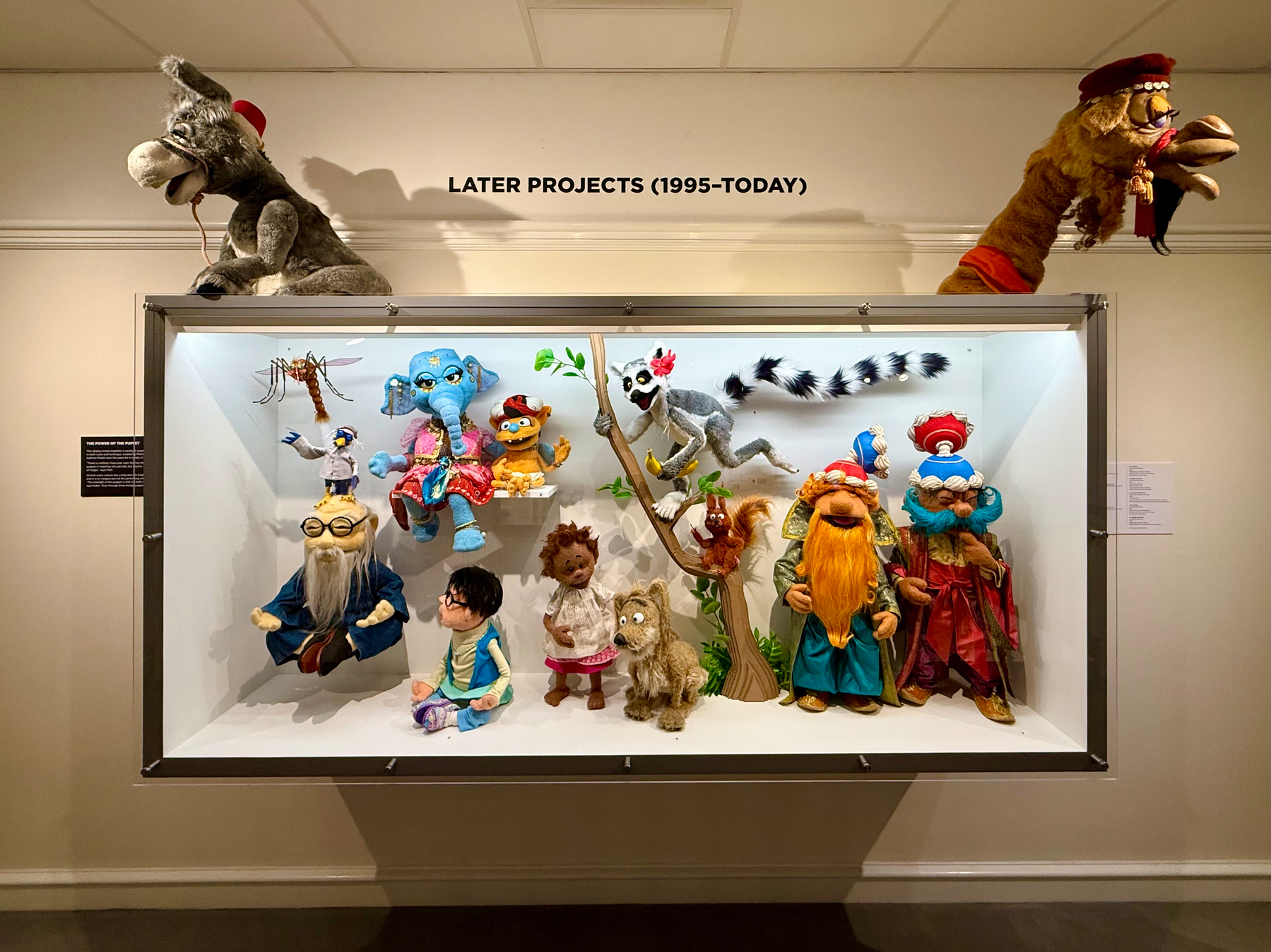 A display case in a museum showcases a collection of colourful puppets from various projects labeled “LATER PROJECTS (1995–TODAY)” above the case. Two large puppets sit on top: a grey donkey wearing a red fez on the left and a brown camel with a red hat and tassels on the right. Inside the case, an array of puppets is arranged in two rows and on tree branches. The top row includes a large blue elephant dressed in bright clothing, a yellow character with a red hat, and a lemur perched on a branch with a long striped tail. The bottom row features a white-bearded elderly man puppet with glasses, a child puppet in casual clothes, a small brown animal, and two elaborately dressed puppets with long orange and blue beards and tall ornate hats. Floating above them are a mosquito and a small bird puppet. The backdrop is a simple white interior with spotlights illuminating the figures.