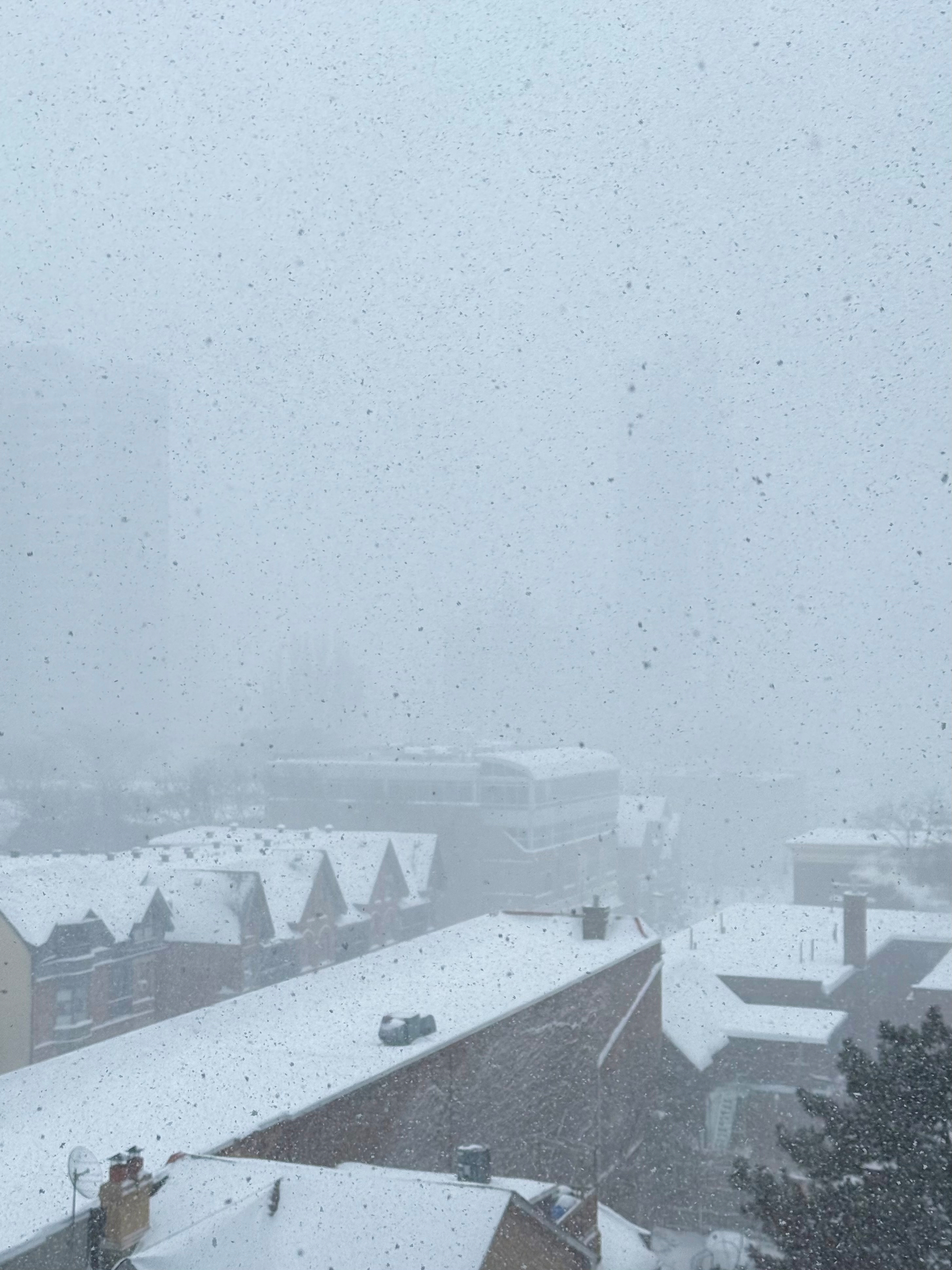 A snowy street scene covered in heavy snowfall blurring the visibility of buildings and houses. The rooftops are blanketed with snow, and snowflakes are visibly falling in the foreground, creating a wintry and obscured atmosphere.