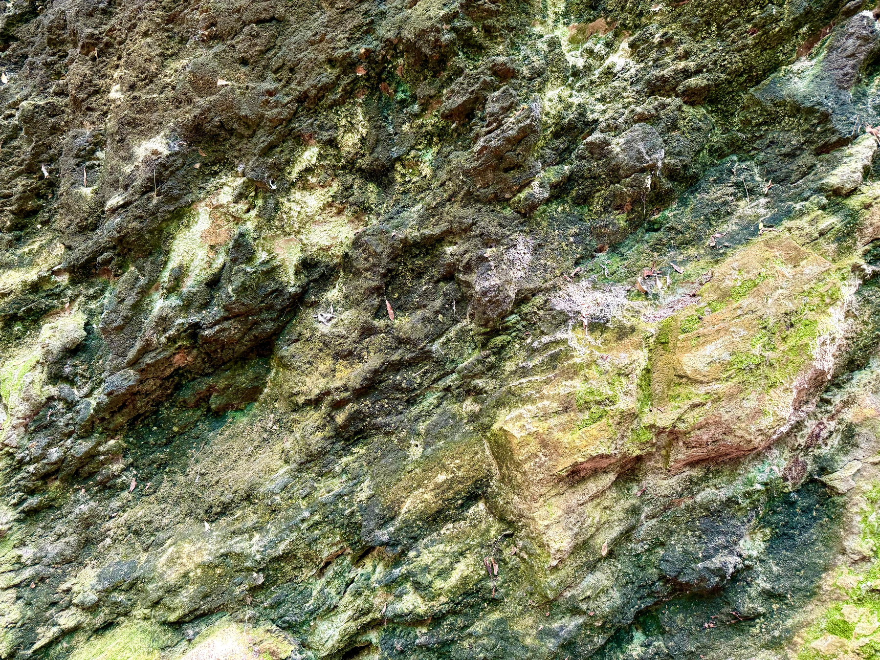 A close-up view of a rugged rock face covered in patches of green moss and algae. The surface is uneven with sharp edges, cracks, and crevices, showing a mix of dark brown, green, and light yellow tones. Small bits of dried leaves and twigs are scattered across the rock, and some areas are highlighted by natural sunlight, creating a textured and weathered appearance.