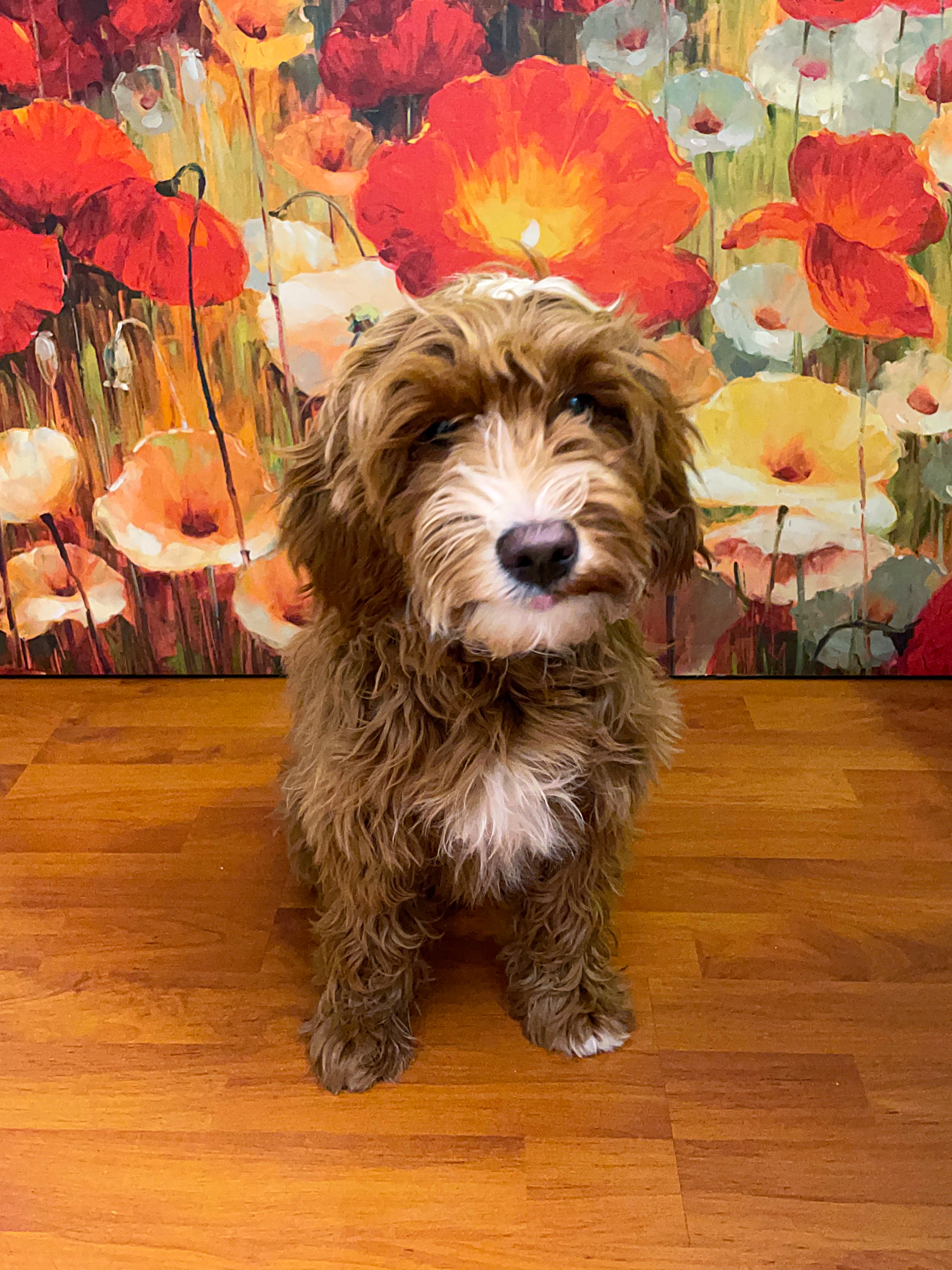 A brown and white dog sitting in front of a painting of red and yellow flowers.