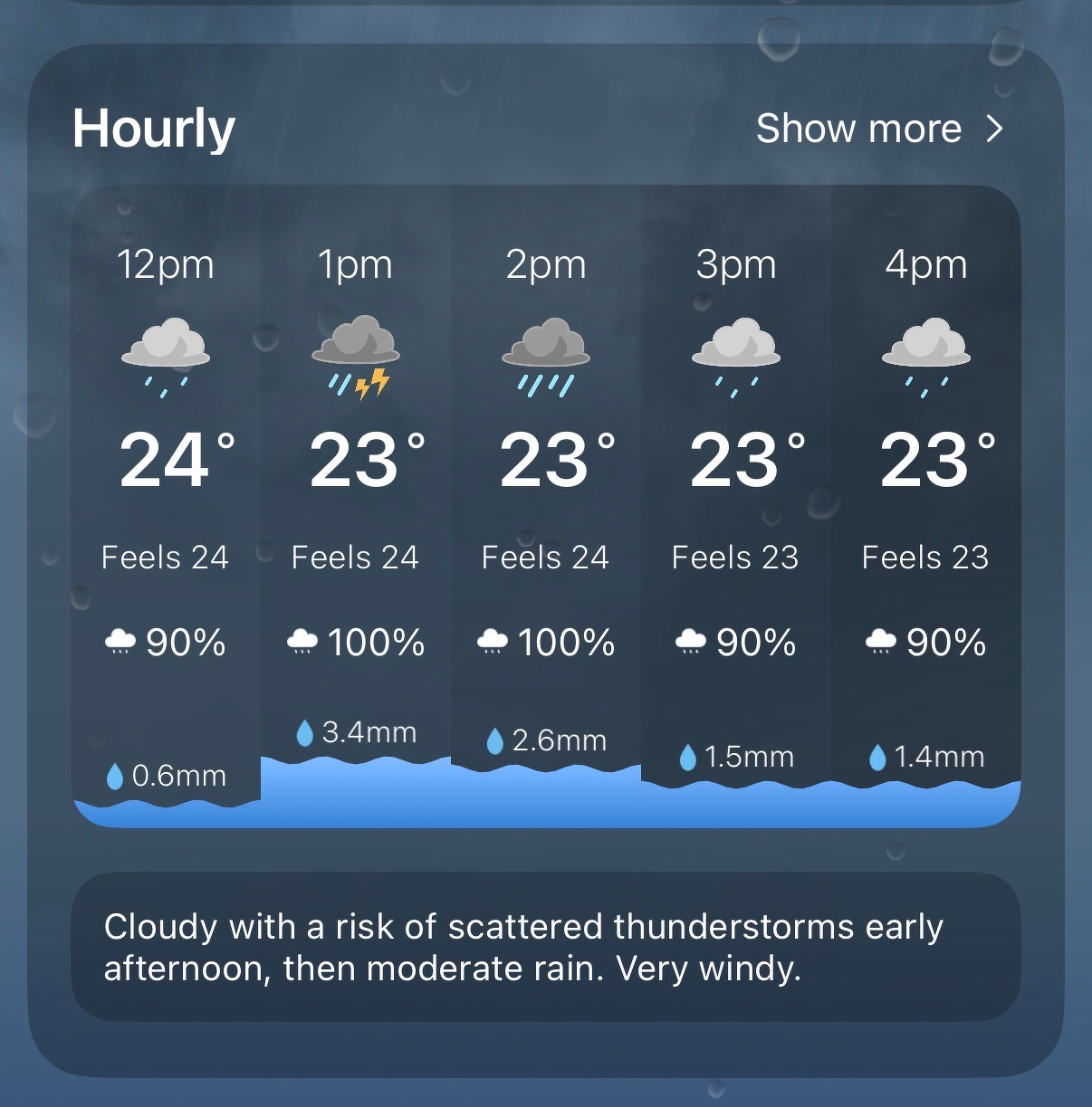 A weather forecast shows temperatures around 23-24°C with rain and thunderstorms expected between 12 PM and 4 PM, alongside high humidity and wind.