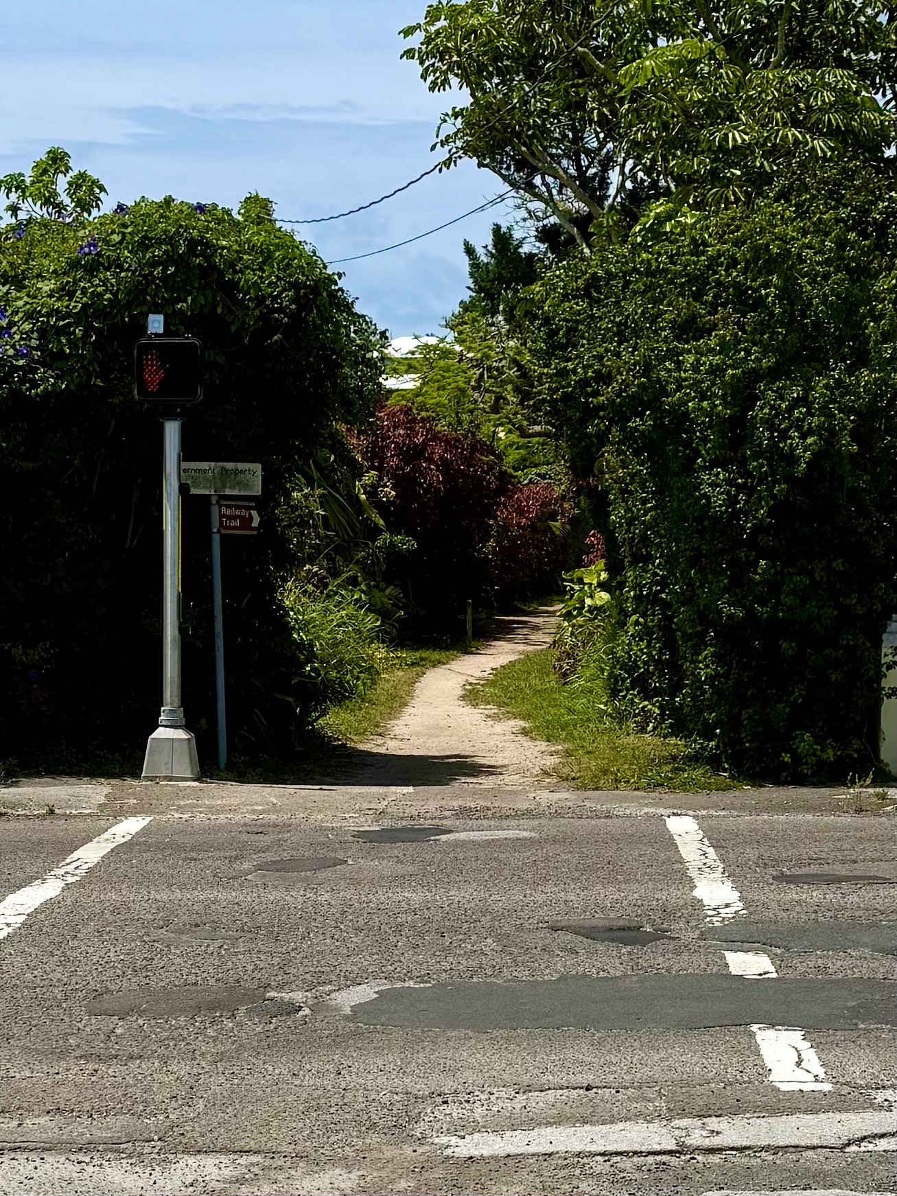 A narrow dirt path surrounded by lush greenery leads to a residential area with a pedestrian crossing and a red pedestrian light in the foreground.