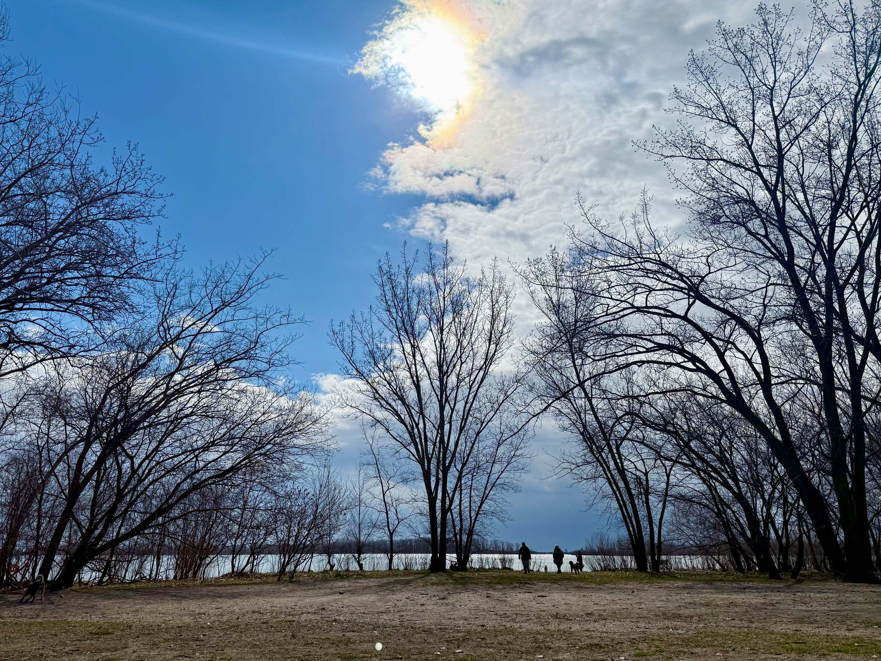 A scenic outdoor view shows a bright sun partially obscured by clouds, creating a soft halo effect with hints of rainbow colours. Bare trees with thin, leafless branches line both sides, framing the open sky and a distant body of water. Three people and a dog are silhouetted near the water’s edge, adding a sense of scale. The foreground is a patchy, grassy and sandy area, and the overall atmosphere feels quiet and serene under a mix of blue sky and clouds.