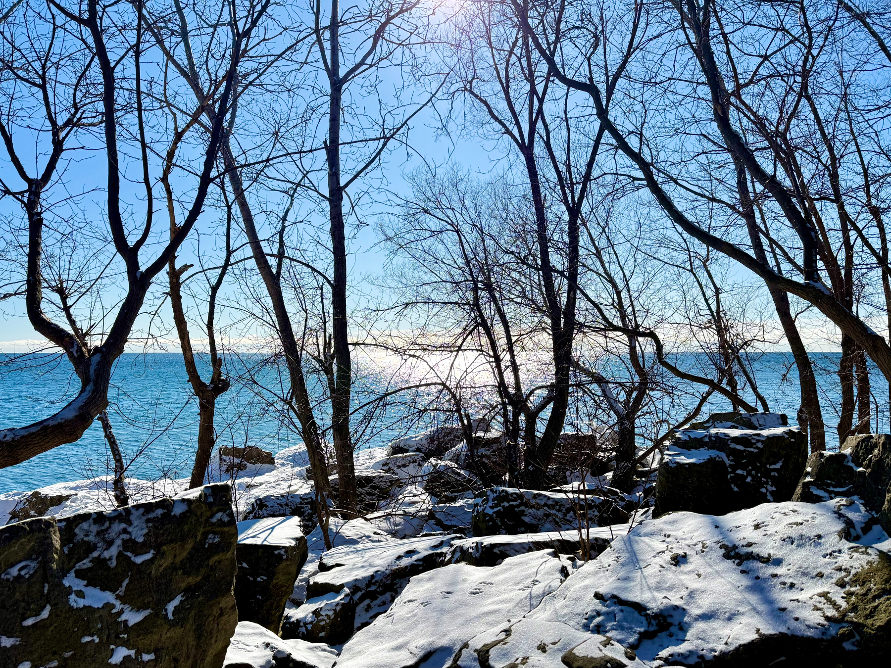 A serene winter scene showing the edge of a rocky shoreline covered in snow. Bare trees stand between the viewer and a large body of water, reflecting sunlight under a clear blue sky. The sun is partially visible above, casting light and shadow on the snow-covered rocks.