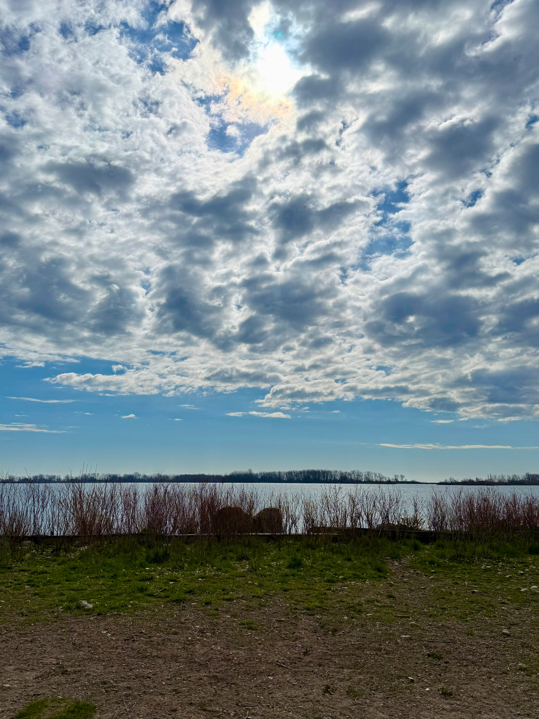 A scenic lakeside view under a dramatic sky filled with thick, textured clouds allowing some sunlight to peek through, creating a subtle glow. The horizon shows a stretch of calm water bordered by a distant treeline. In the foreground, there is a mix of green grass, sparse dirt patches, and clusters of brown, leafless shrubs along the shore. The overall mood is serene with a contrast between the bright sky and the darker foreground.