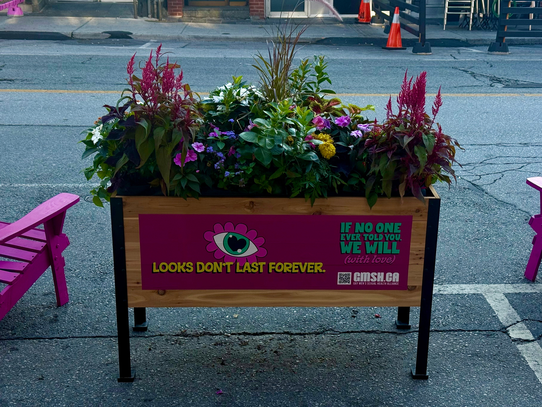 A wooden planter box filled with a variety of colourful flowers and greenery, including red, yellow, purple, pink, and white blooms, sits on an asphalt street. The planter has a decorative sign with a pink cartoon flower featuring a single eye in the centre. The text reads, “LOOKS DON’T LAST FOREVER.” in yellow and “IF NO ONE EVER TOLD YOU, WE WILL (with love)” in teal and purple. A QR code and the website “GMSH.CA” are also on the sign. Bright pink wooden chairs are positioned on either side of the planter. In the background, there is a street with cracked pavement, traffic cones, and a sidewalk with stair railings and a building entrance.