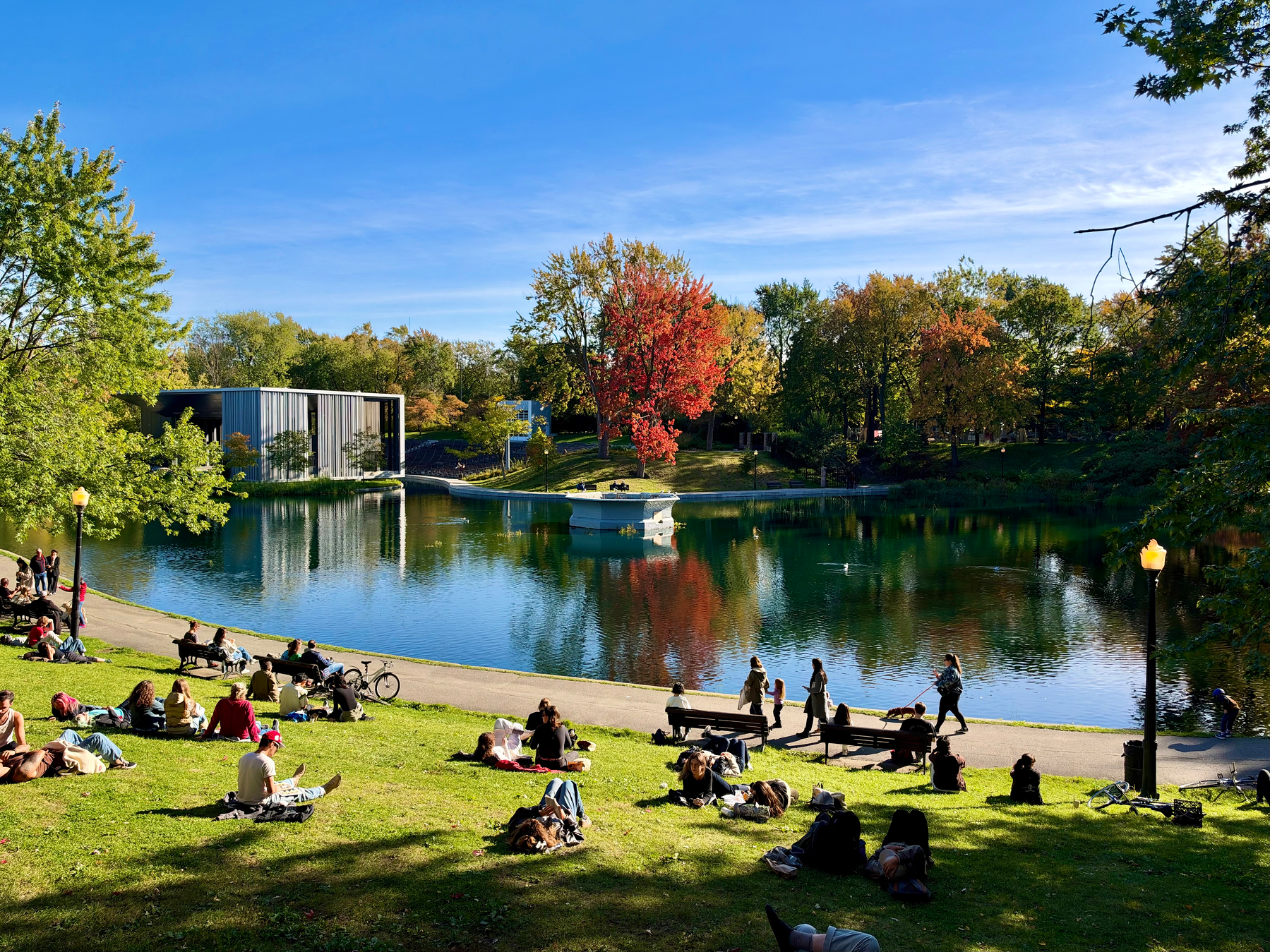 A sunny park scene with a calm pond reflecting a clear blue sky and trees in green, yellow, and bright red autumn colors. A modern building with vertical panels stands across the water. People sit and lie on a grassy slope in the foreground, some on blankets; others walk or sit on benches along a paved path. Two lit lampposts frame the path, and a bicycle rests near a group. Shadows stretch across the grass.