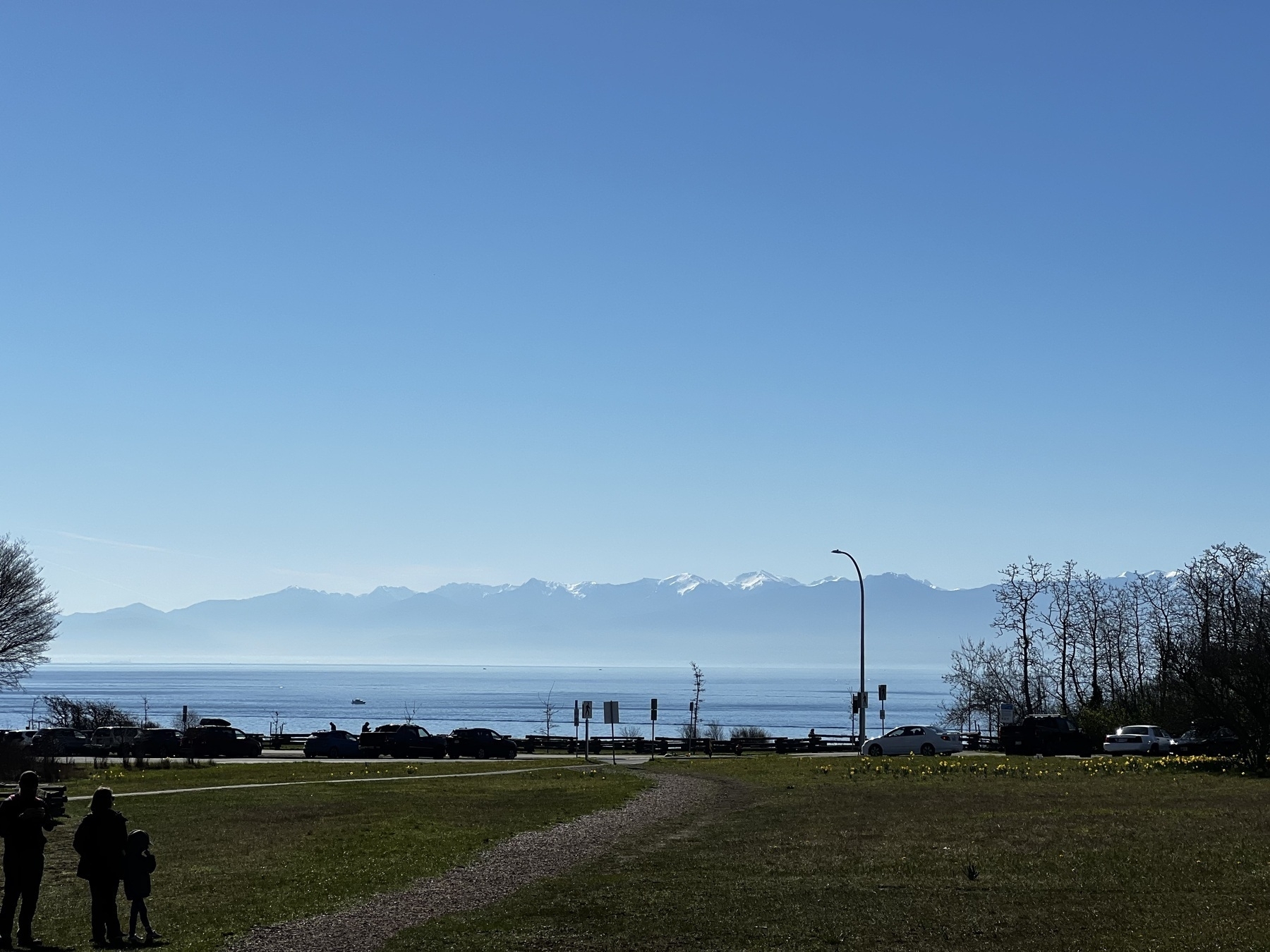 Photo of a green grassy field in the foreground. Far in the distance are the snow-capped Olympic Mountains