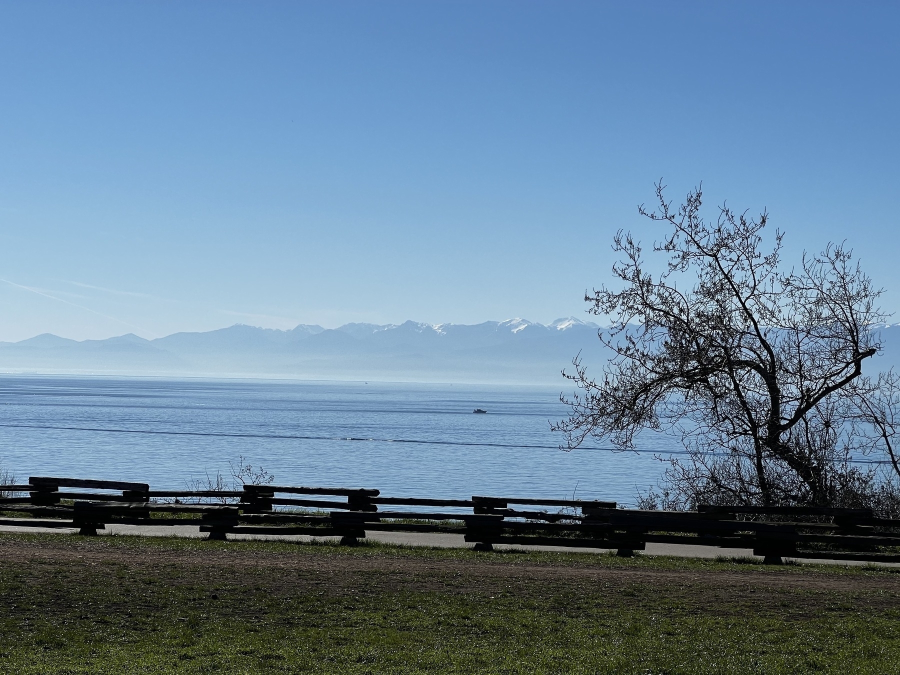 Another image of the Olympic Mountains, this time with a grassy field in the foreground and a path lined with a rail-tie fence.