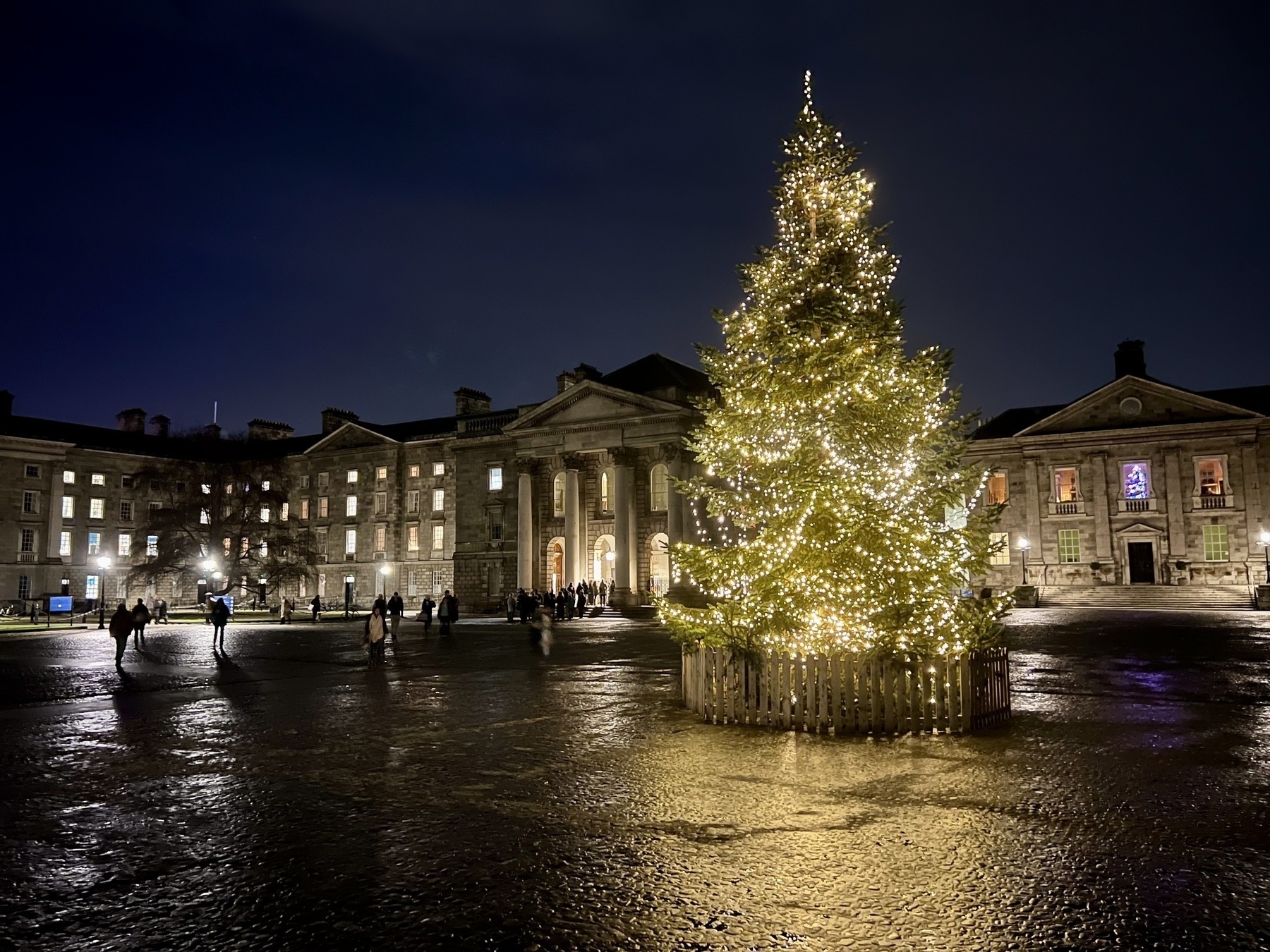 Christmas Tree in the main square Trinity College Dublin. 