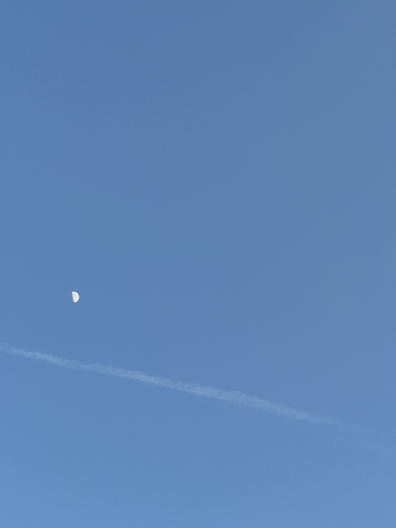 A view of the moon against a blue sky. 