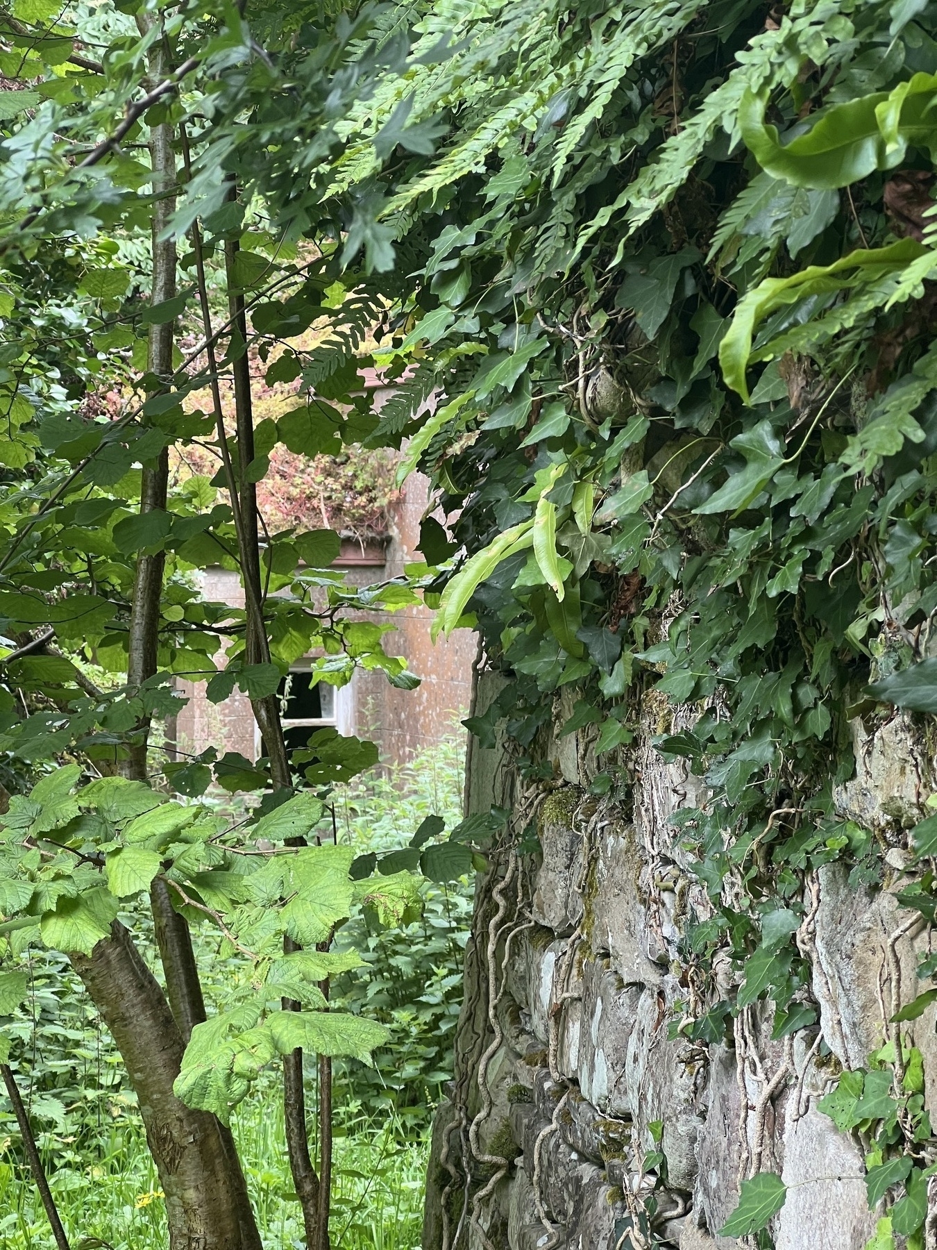 View of a window of a house no longer lived in.