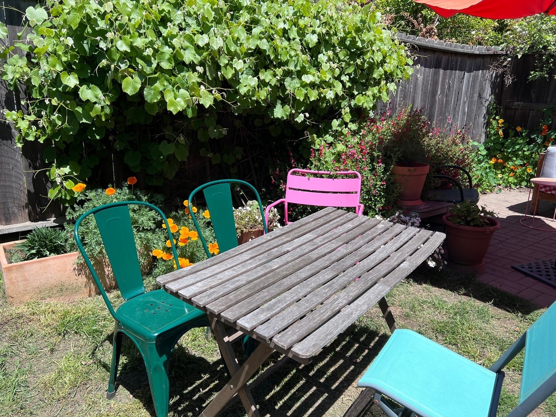 Two green chairs and a teal chair around an old wooden table, pink chair in the background. Poppies, small white flowers, and an exuberant grape behind them. 