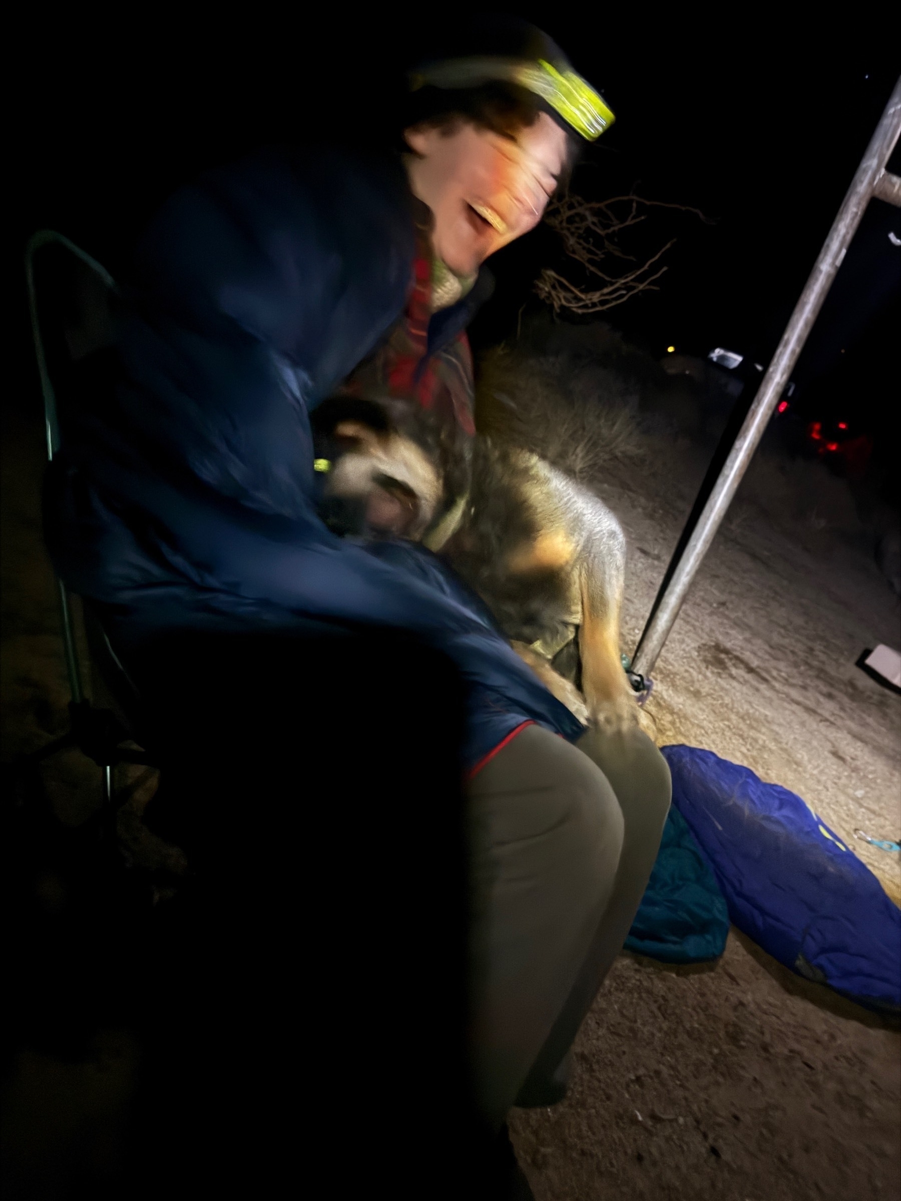 A cattle dog rolls in a young adults lap. Both appear to be laughing. They also appear to be in a campground. 