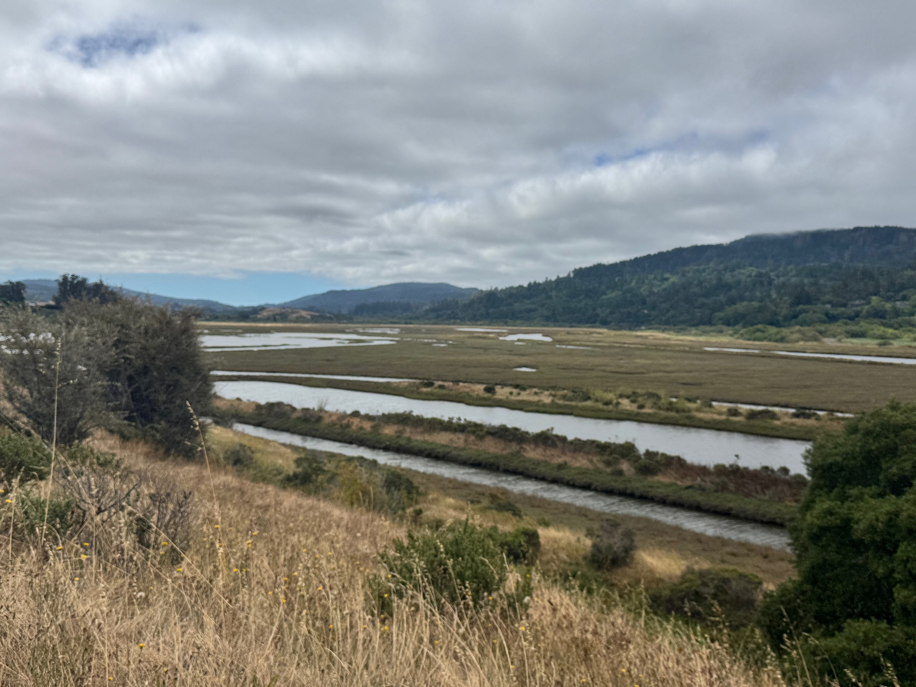 A view of reclaimed ranch land in Tomales Bay. 