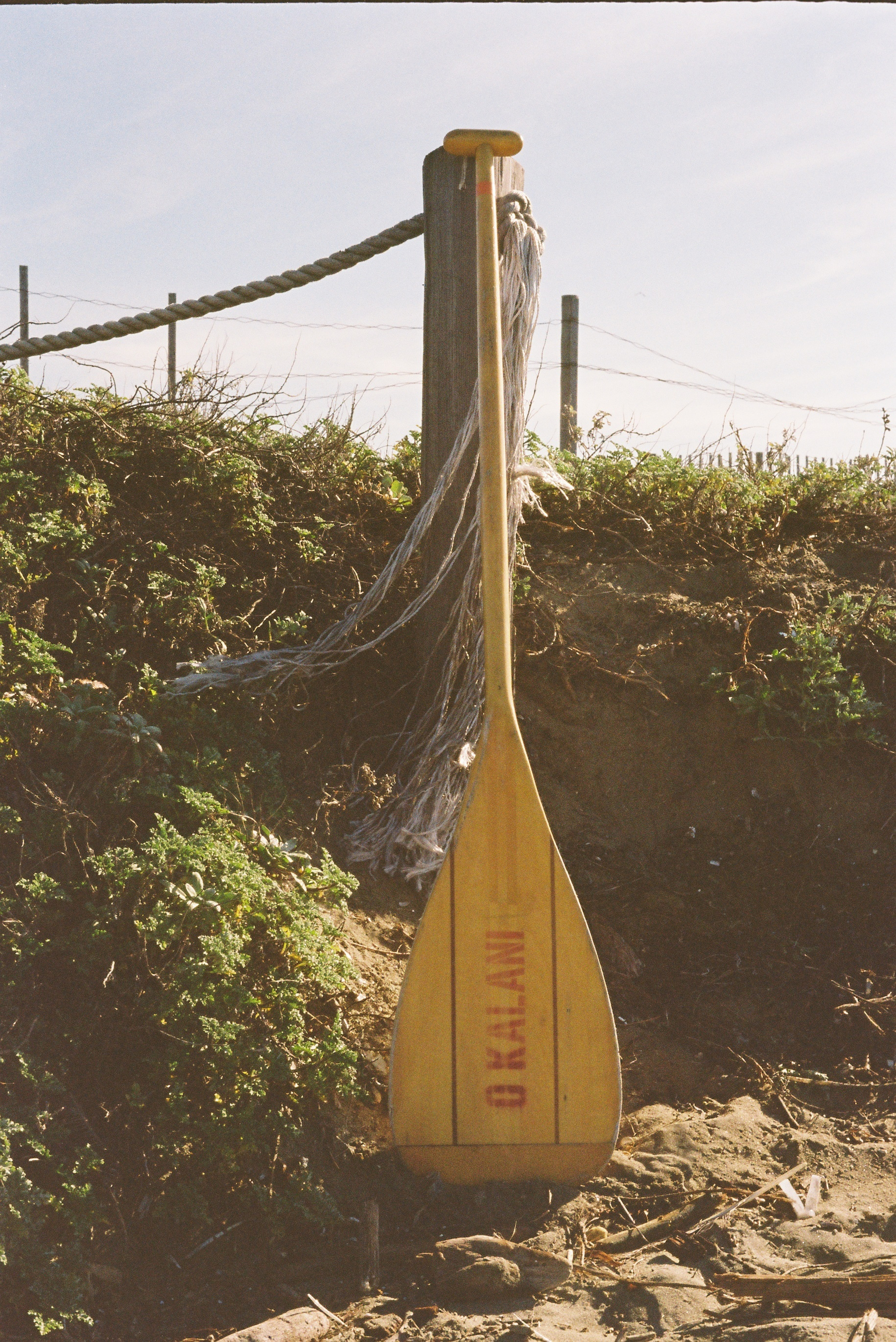 A yellow oar labeled OAKLAND is leaning against a wooden post on a sandy beach with some greenery.
